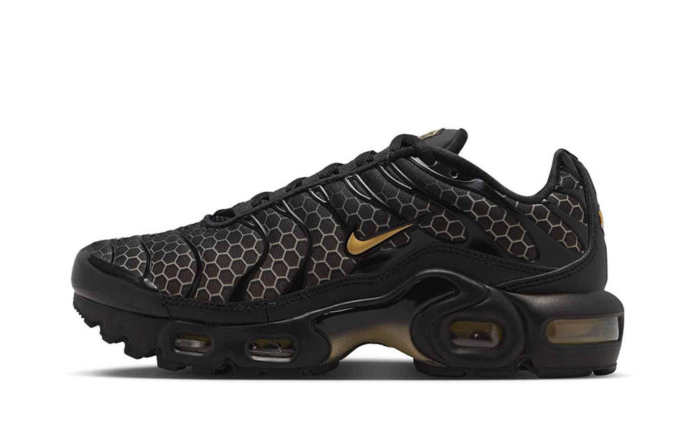 Nike TN Air Max Plus GS Manchester IQ7580-010