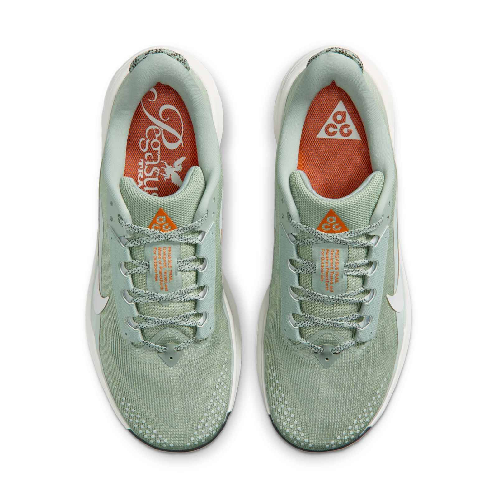 Nike ACG Pegasus Trail Jade Horizon Silver HV8116-310 middle