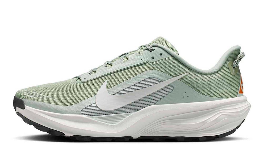 Nike ACG Pegasus Trail Jade Horizon Silver HV8116-310