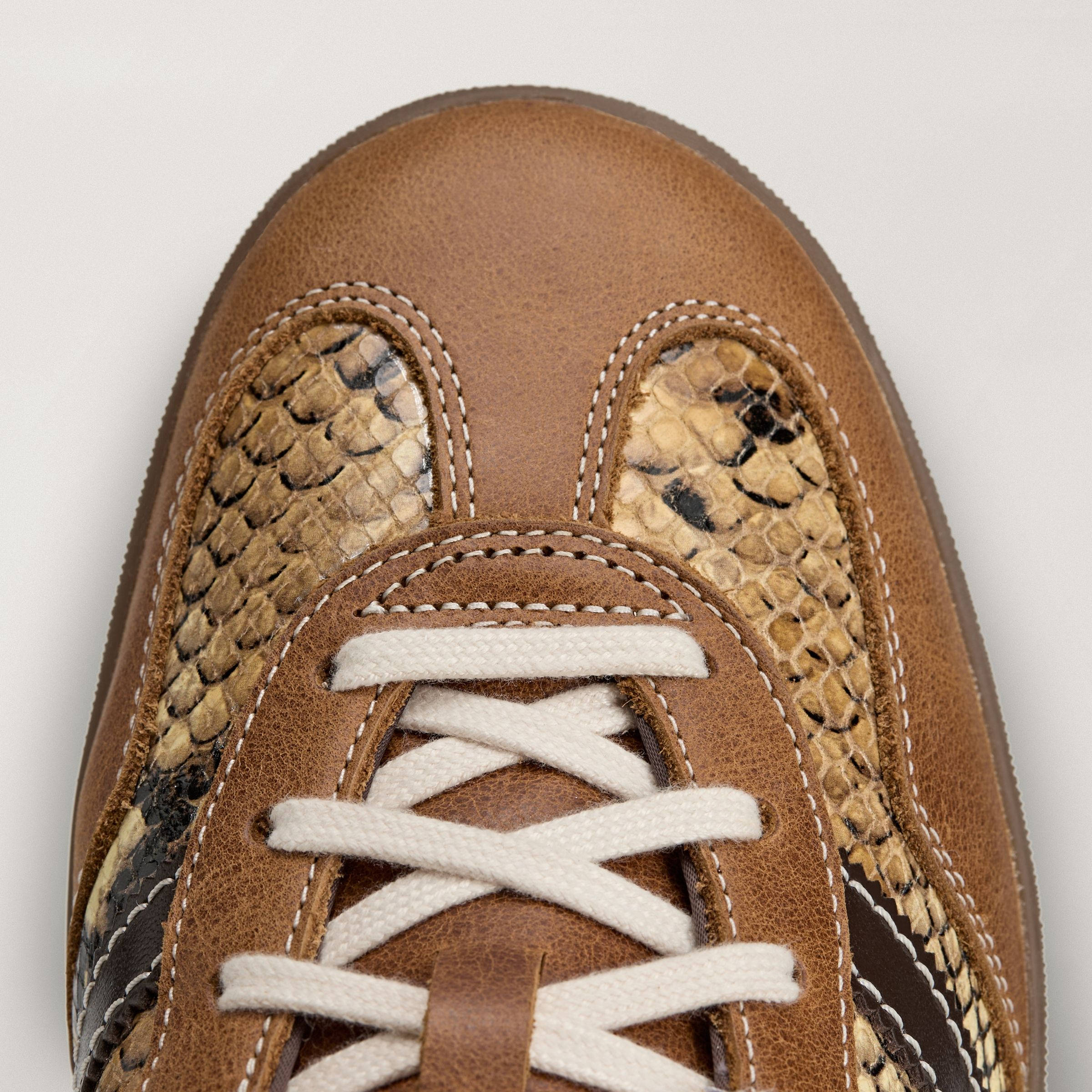 Wales Bonner x adidas Gazelle Indoor Snakeskin Brown KK3641 toe