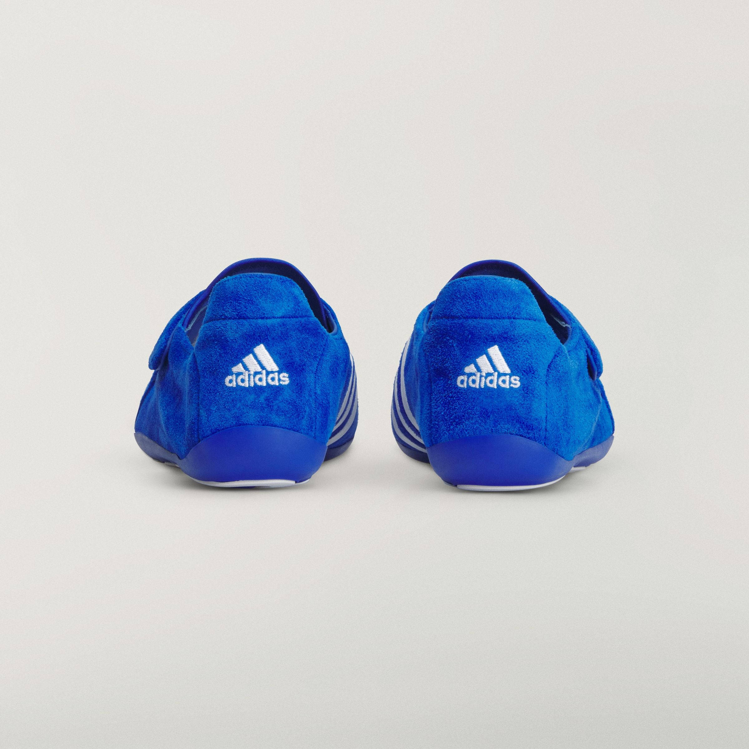 Pharrell x adidas Virginia Vario Flat Earther Suede Blue KJ9380 back