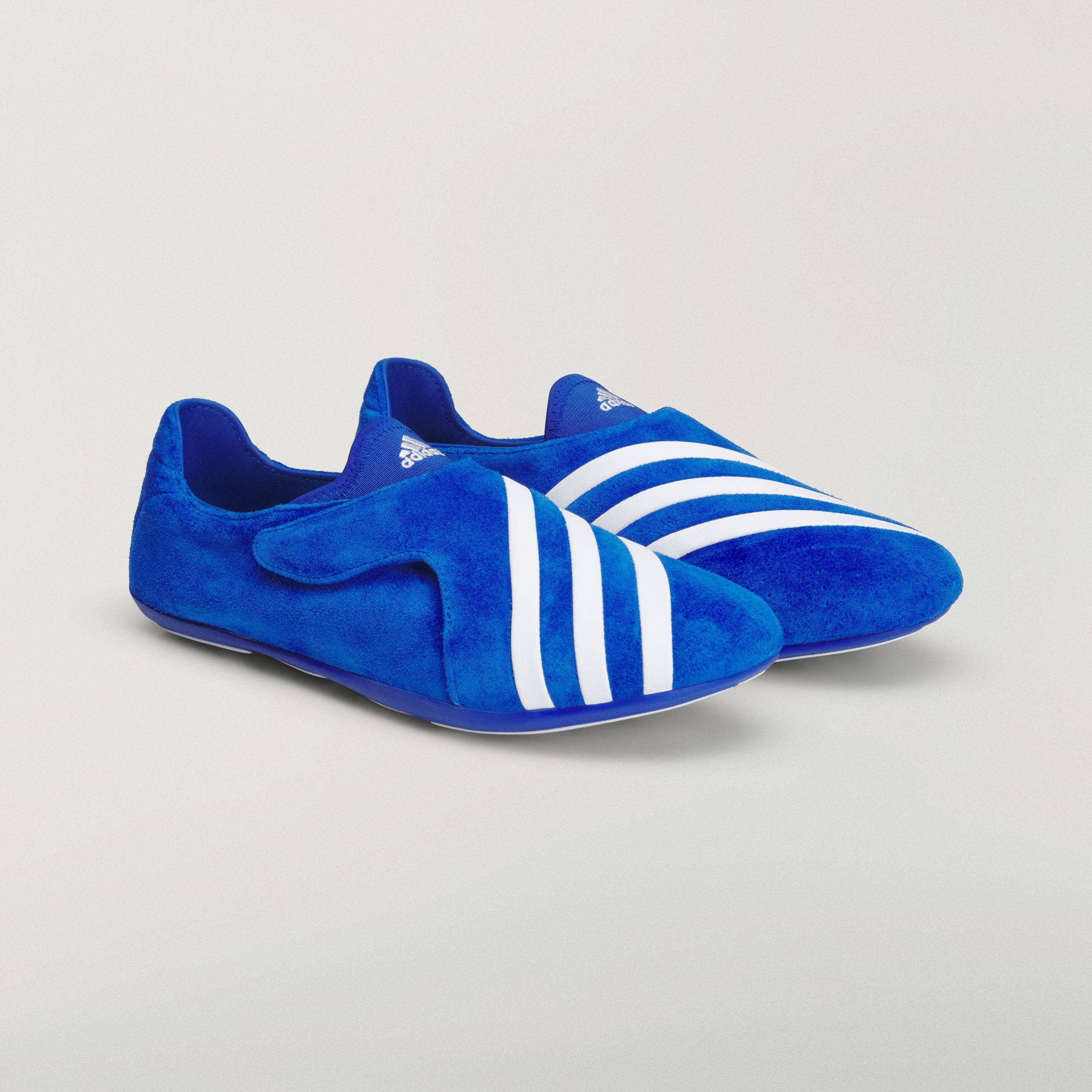 Pharrell x adidas Virginia Vario Flat Earther Suede Blue KJ9380 front