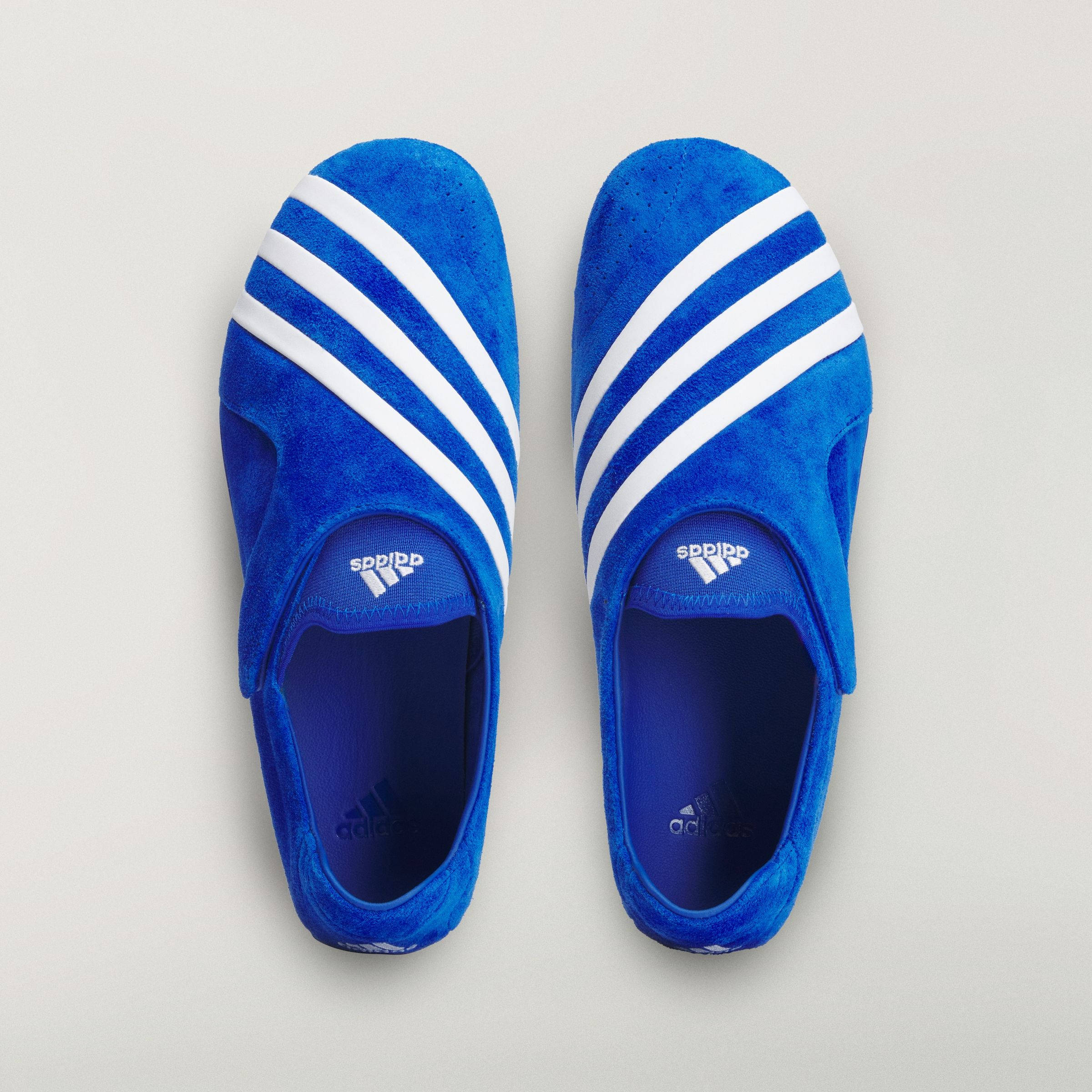Pharrell x adidas Virginia Vario Flat Earther Suede Blue KJ9380 middle