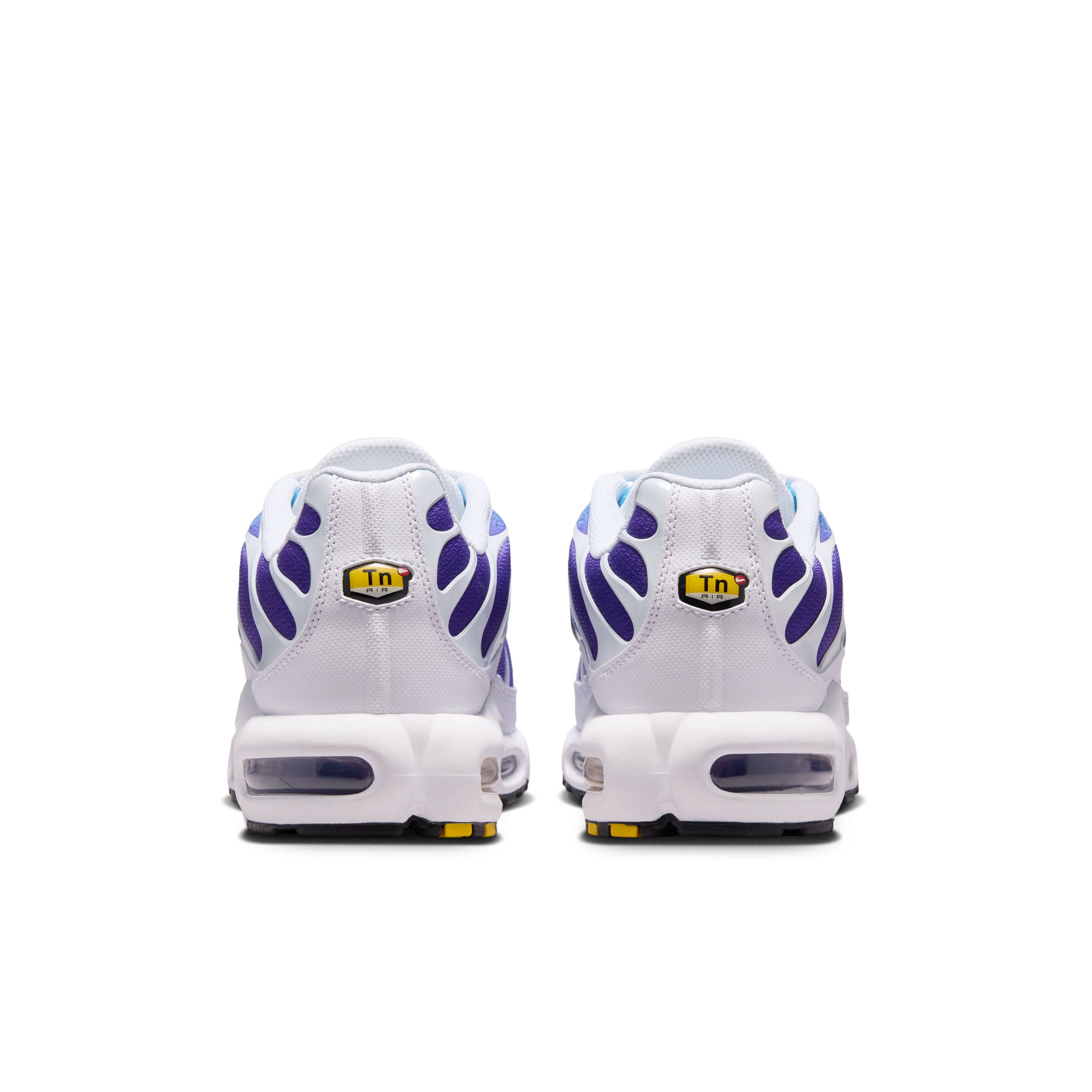 Nike TN Air Max Plus White Gradient Blue DM0032-111 back