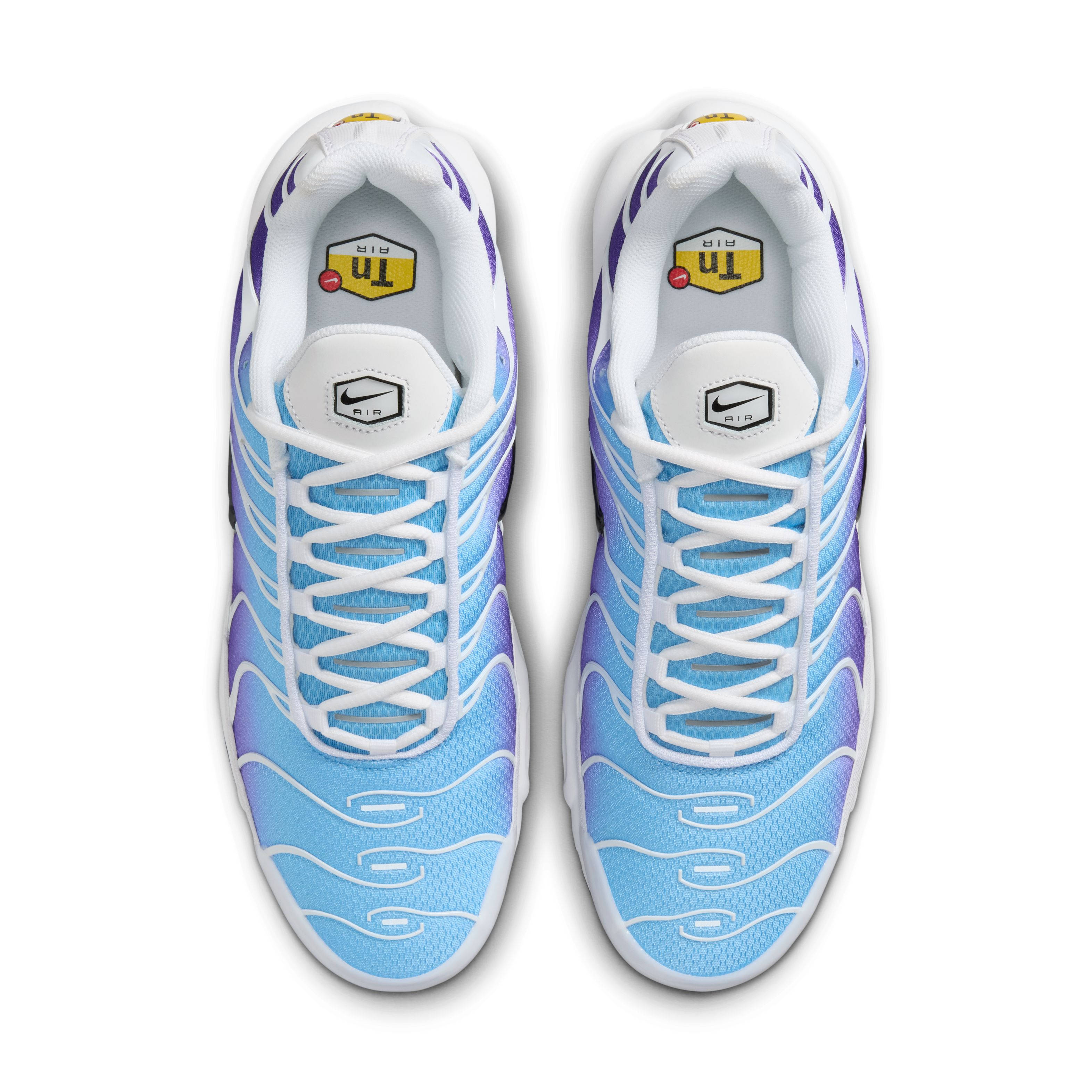 Nike TN Air Max Plus White Gradient Blue DM0032-111 middle
