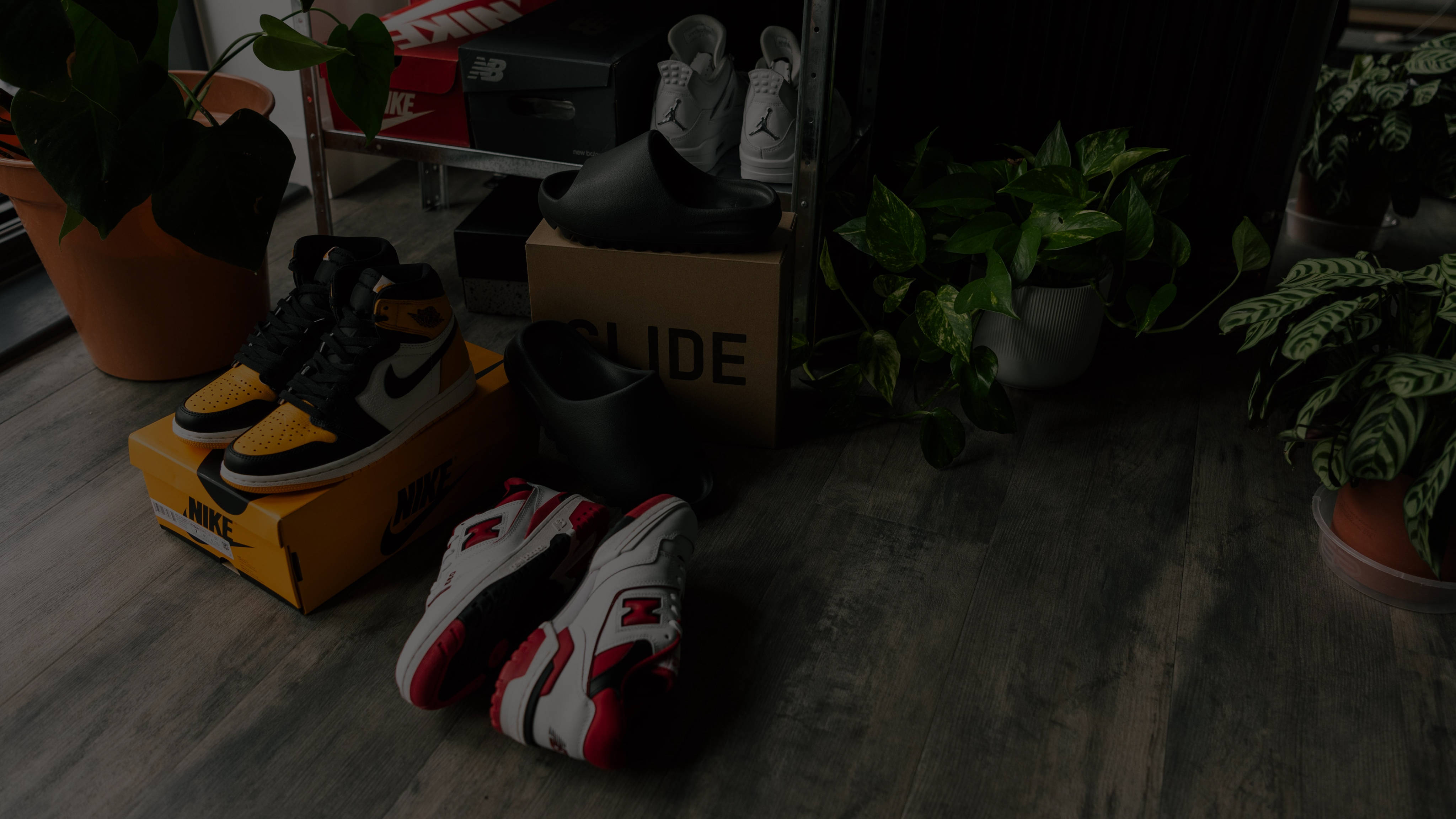 shop-brand-deals-image