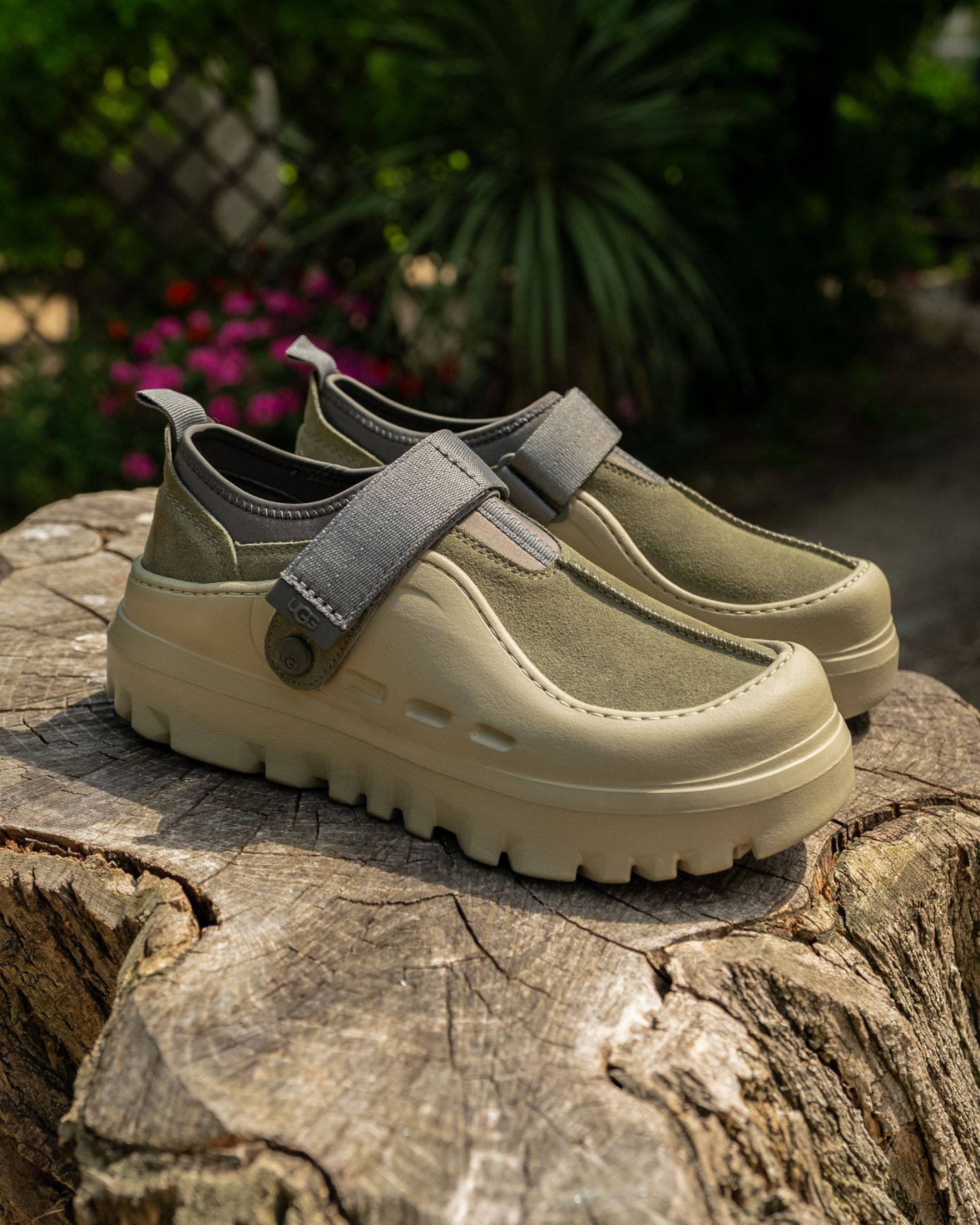 UGG PeakMod Lowcut Olive