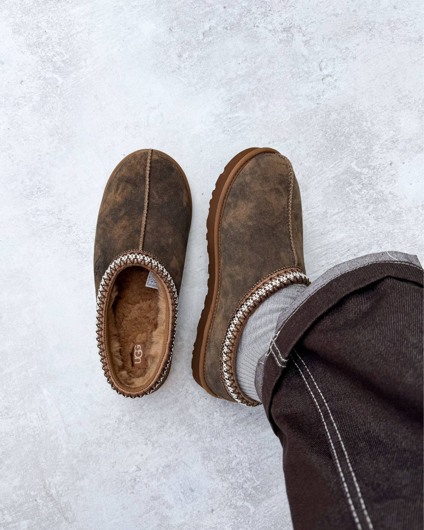 Tasman Baxter Chestnut On Foot