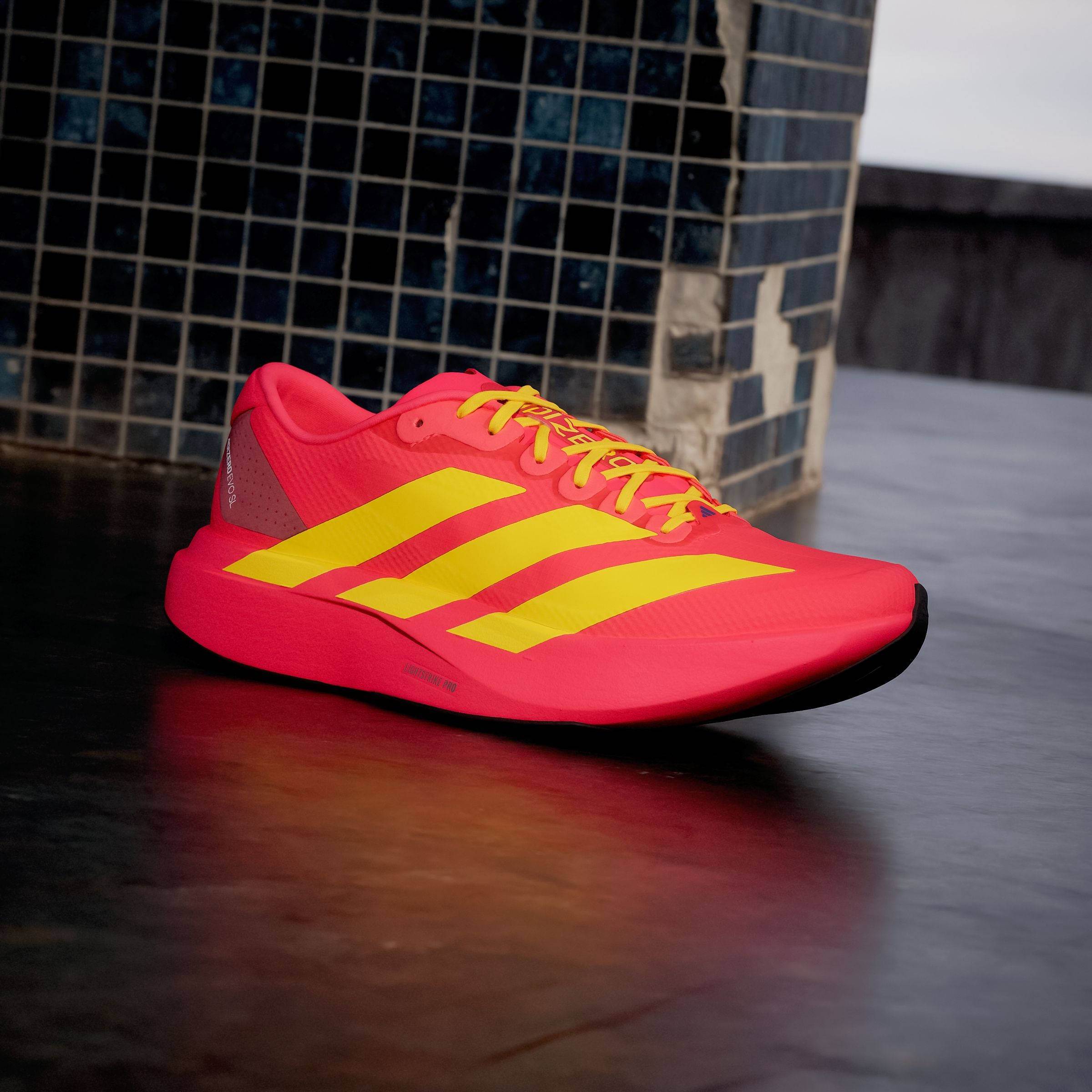 adidas Adizero EVO SL Lucid Red Bold Gold JQ4442 front