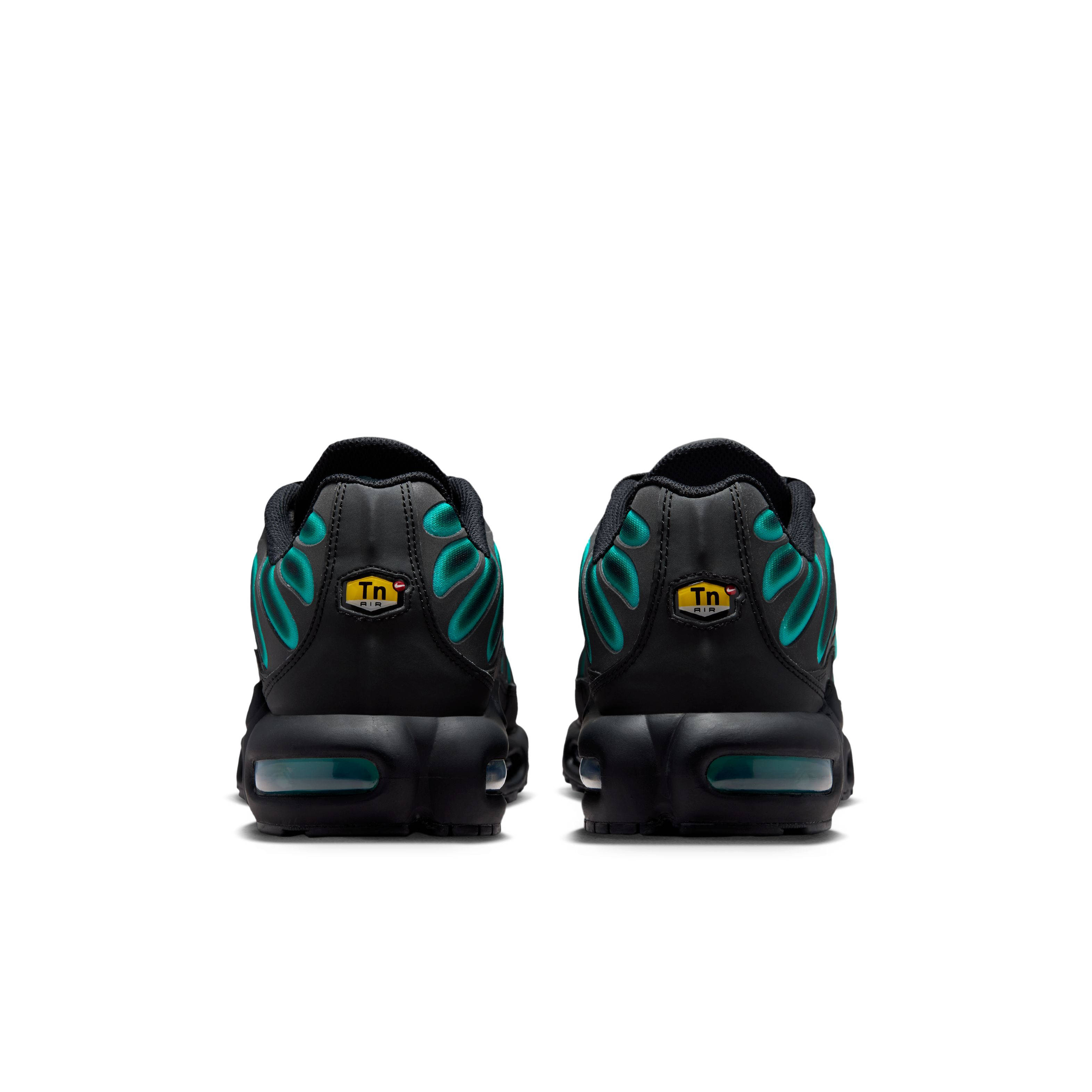 Nike TN Air Max Plus Black Dusty Cactus IV5756 001 back