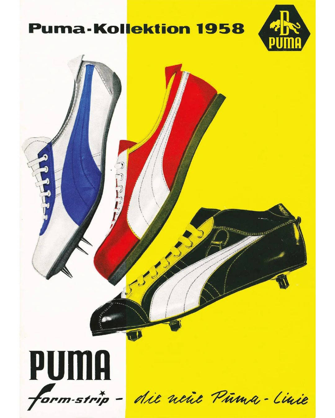 A Definitive History of PUMA