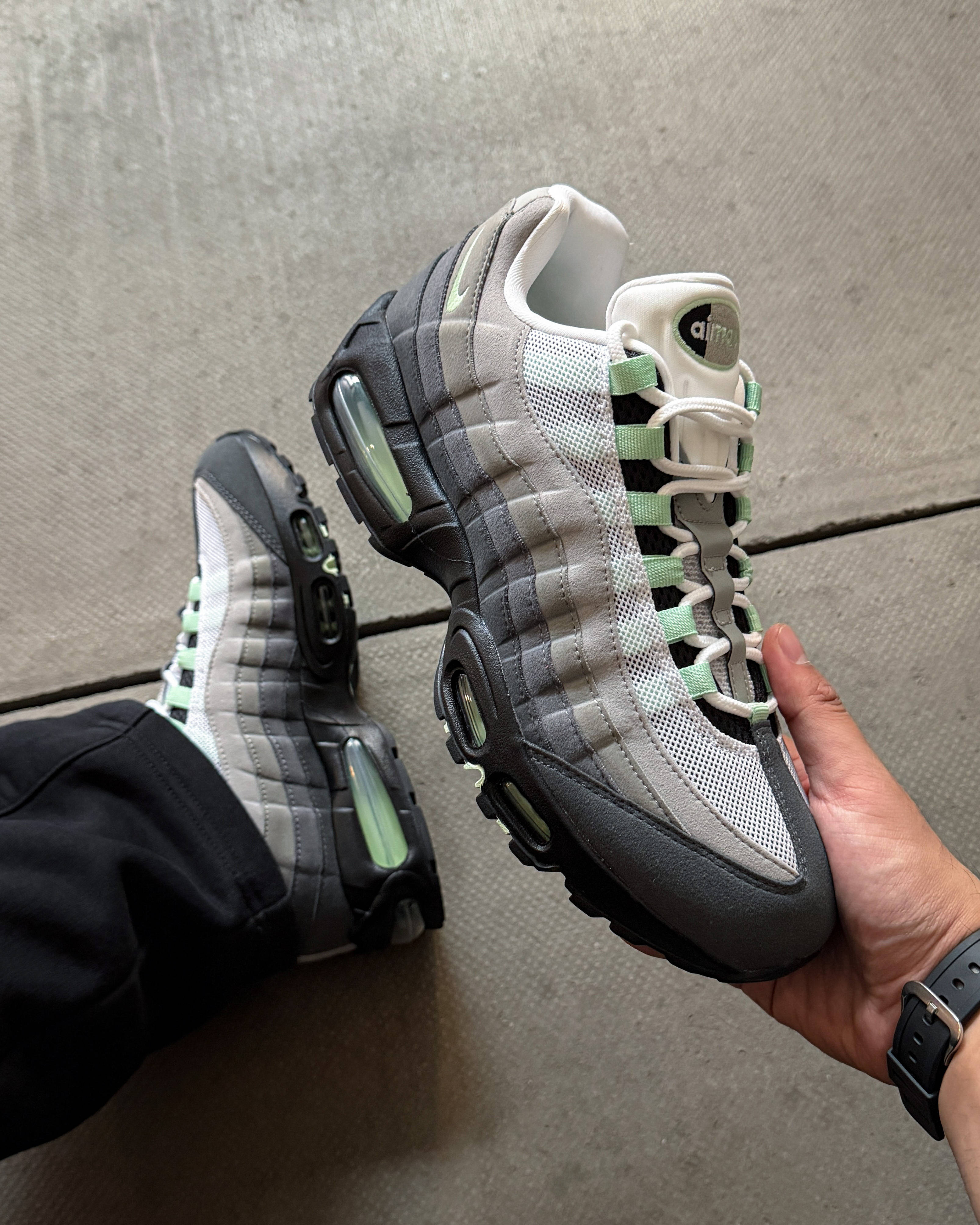 fresh mint 110 2026