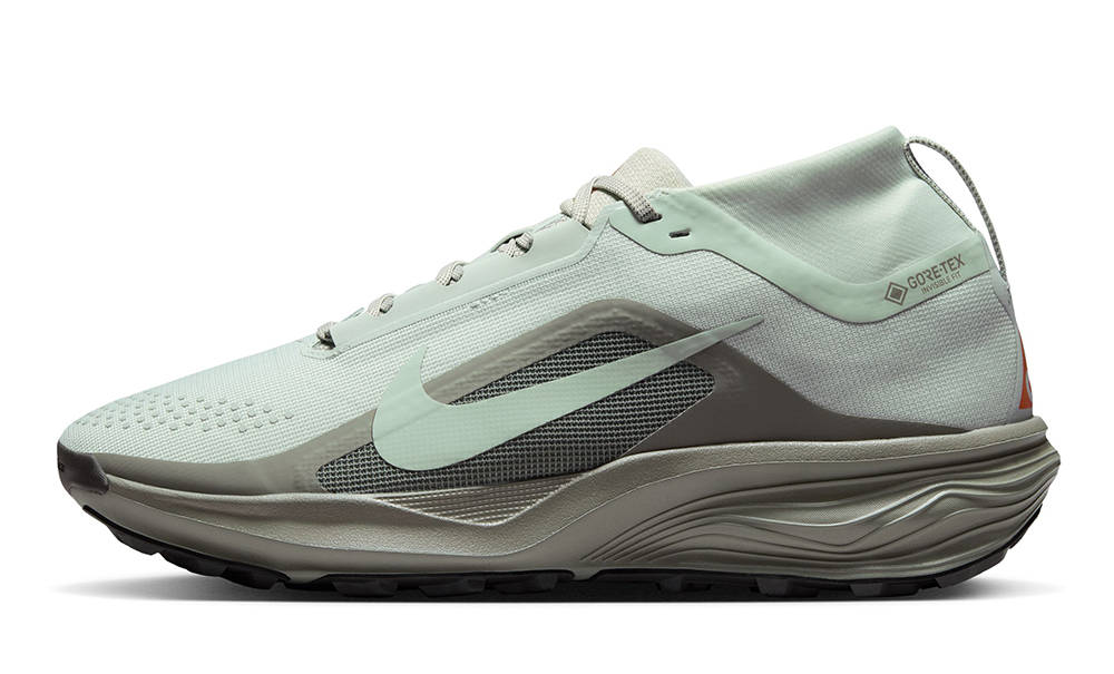 Nike ACG Pegasus Trail GORE-TEX Silver Light Army IQ1084-003