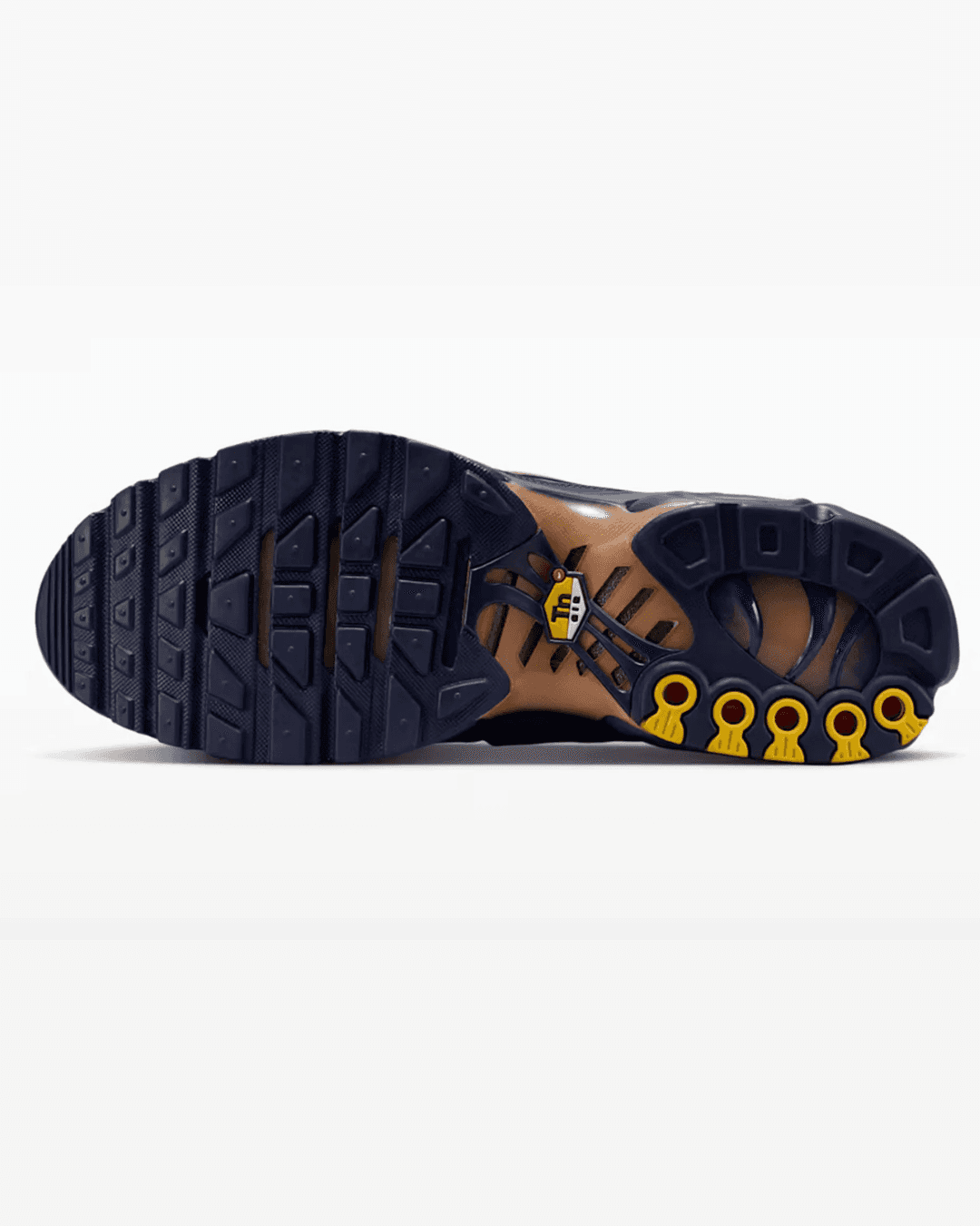 Nike Air Max Plus “French Football Federation”