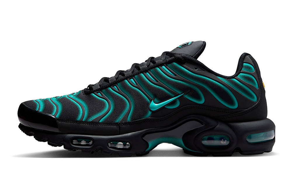 Nike TN Air Max Plus Black Dusty Cactus IV5756-001
