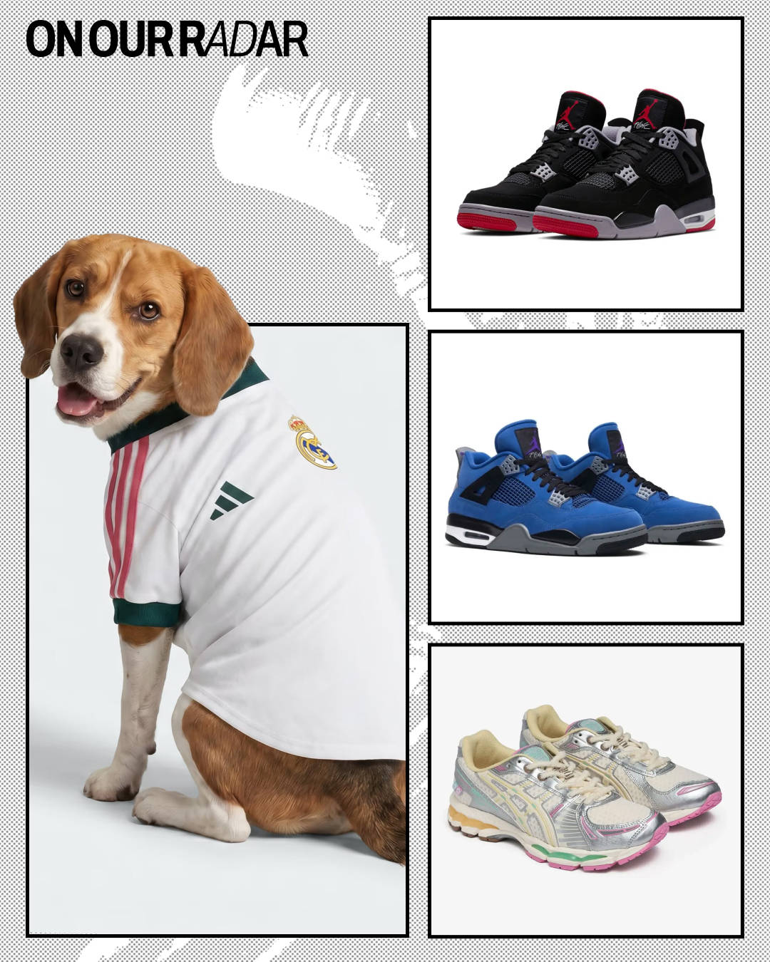 On Our Radar picks