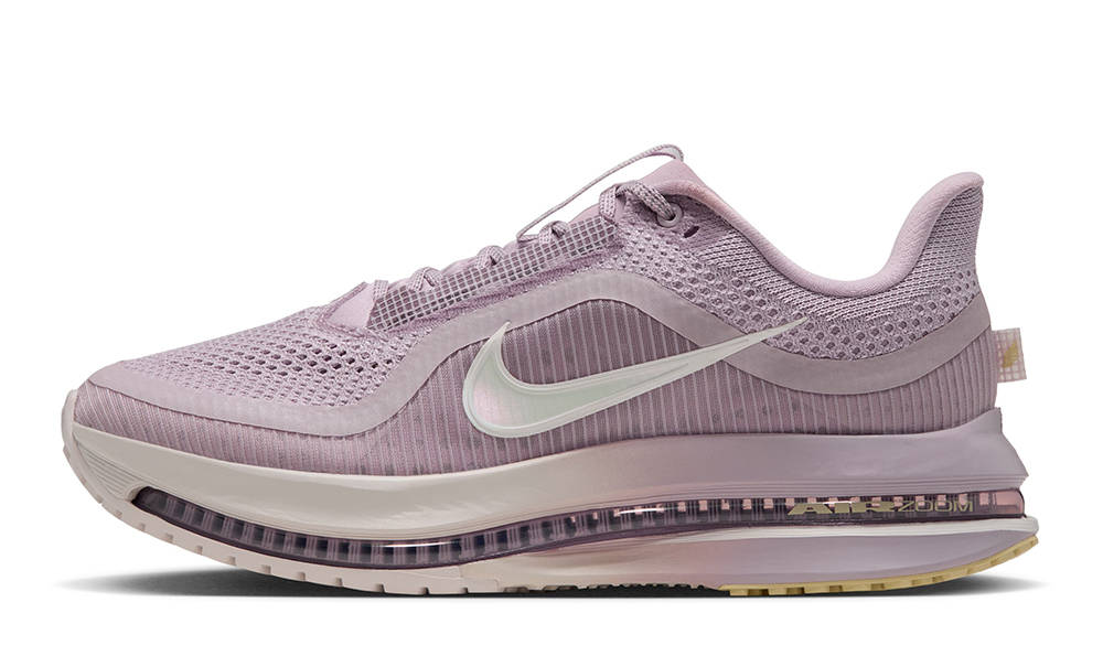 Nike Air Zoom Pegasus Premium Particle Rose Silver Lilac HQ2593-609