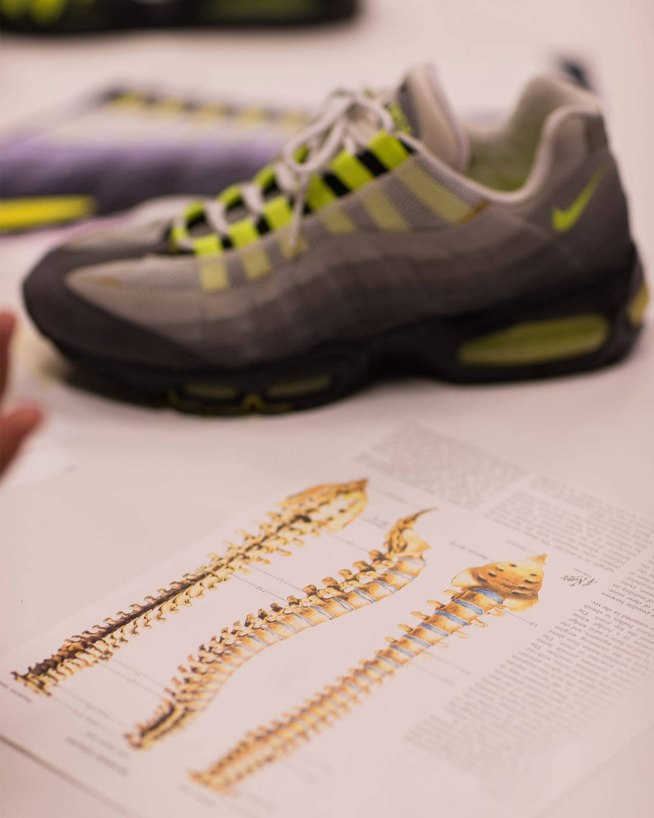 nike air max 95 neon anitomical inspiration
