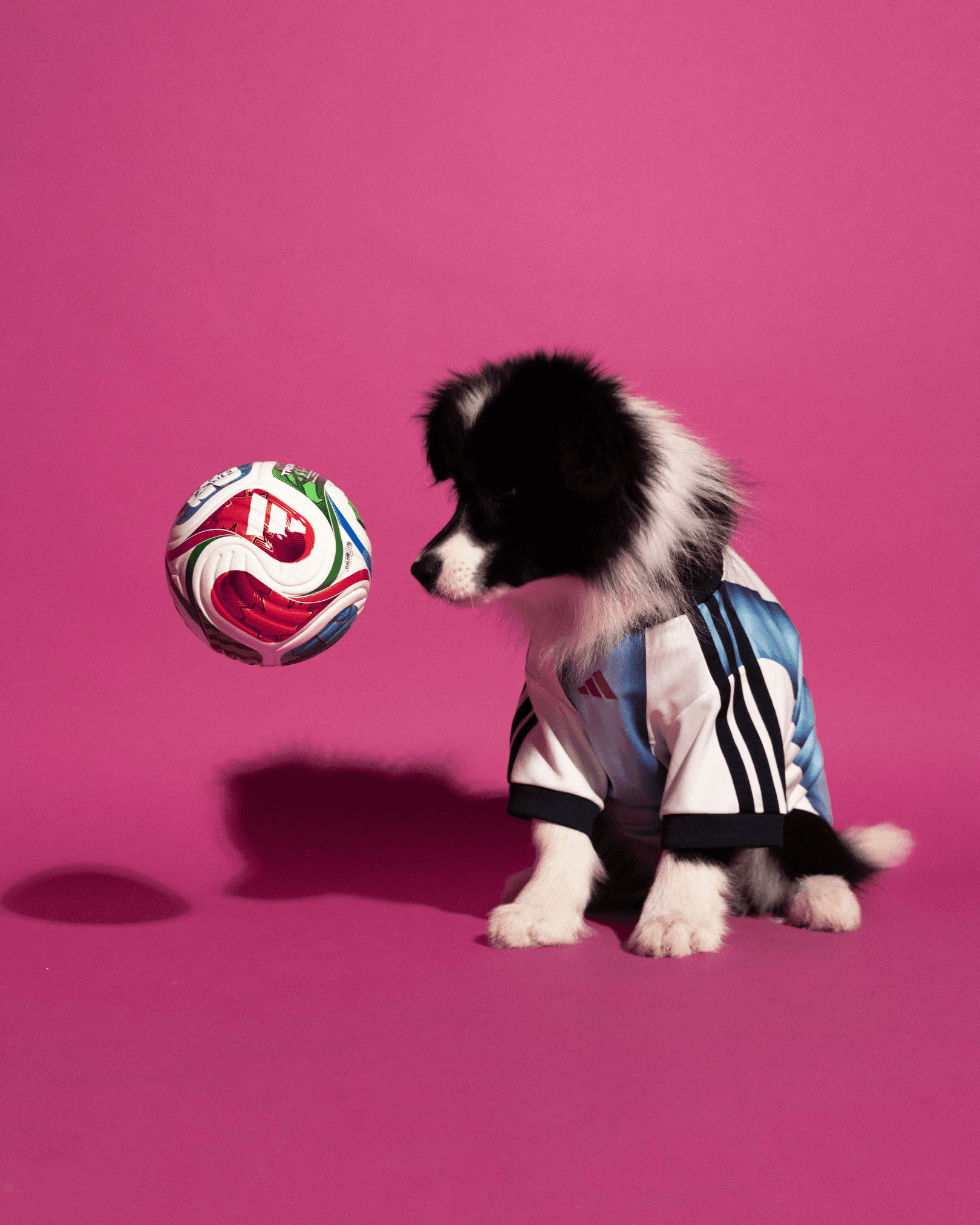 adidas World Cup Pet Collection