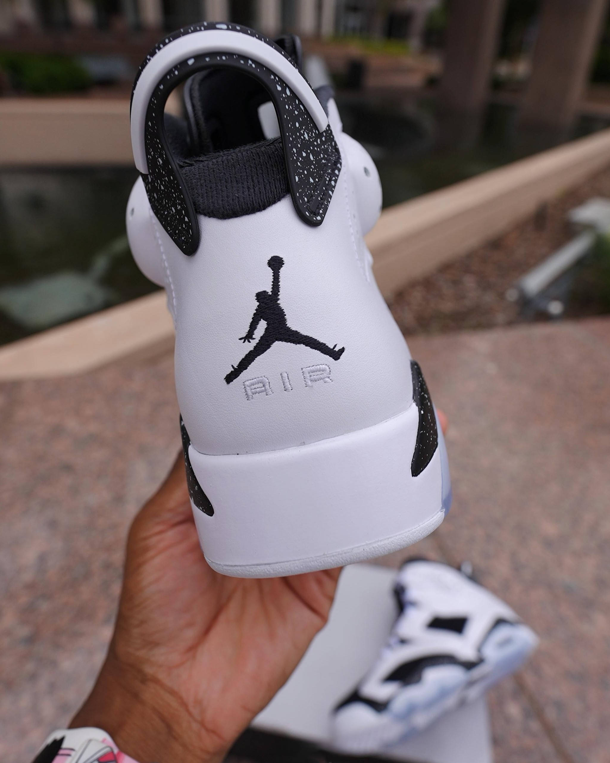 jordan 6 oreo rear shot