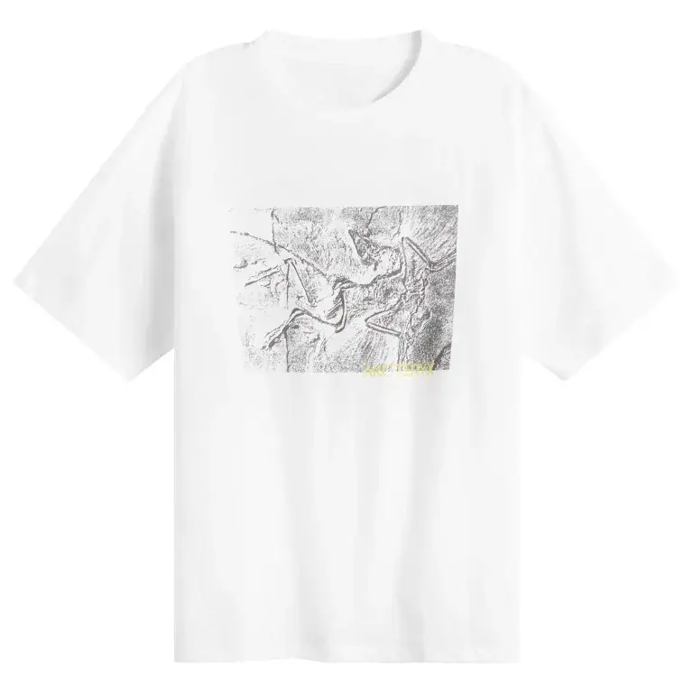 arcteryx t shirt