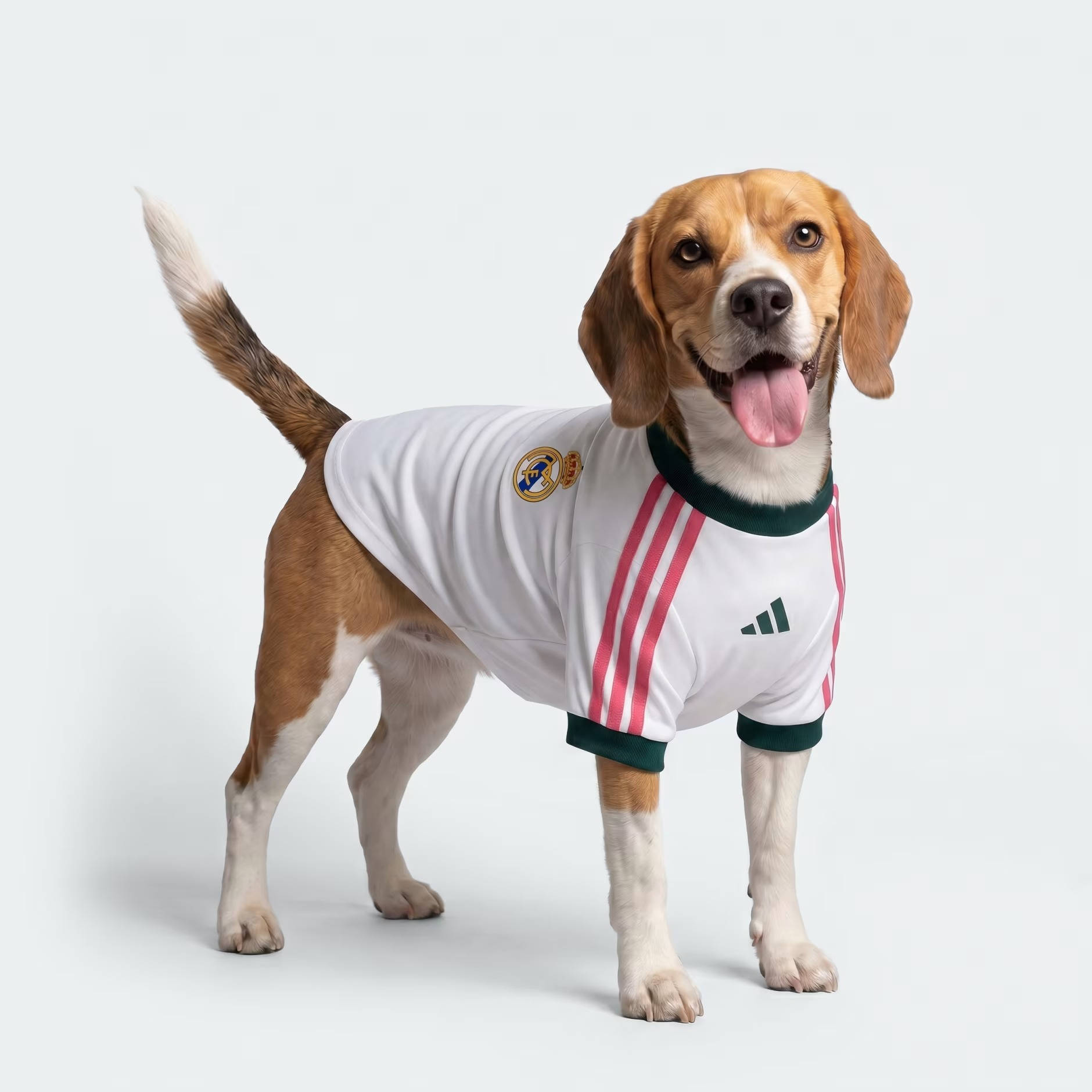 Real Madrid dog jersey