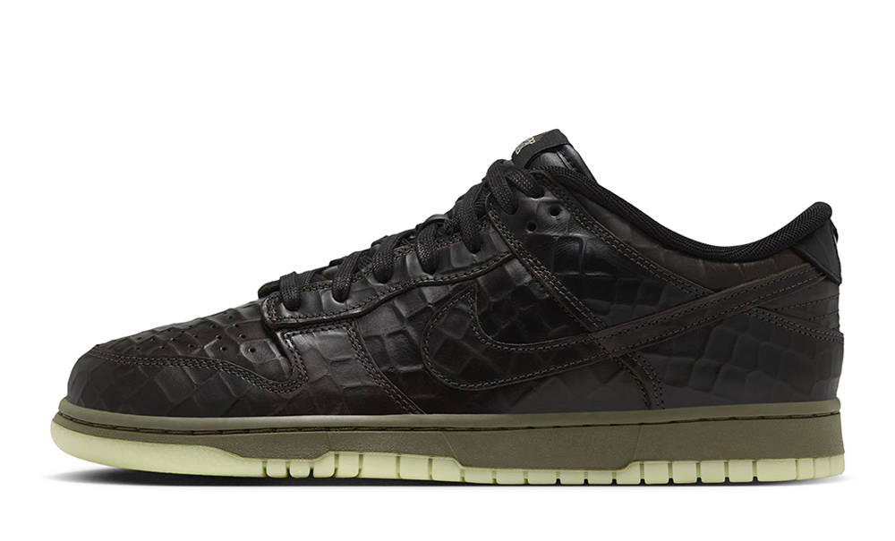 Nike Dunk Low Premium Shibuya  IX5169-300