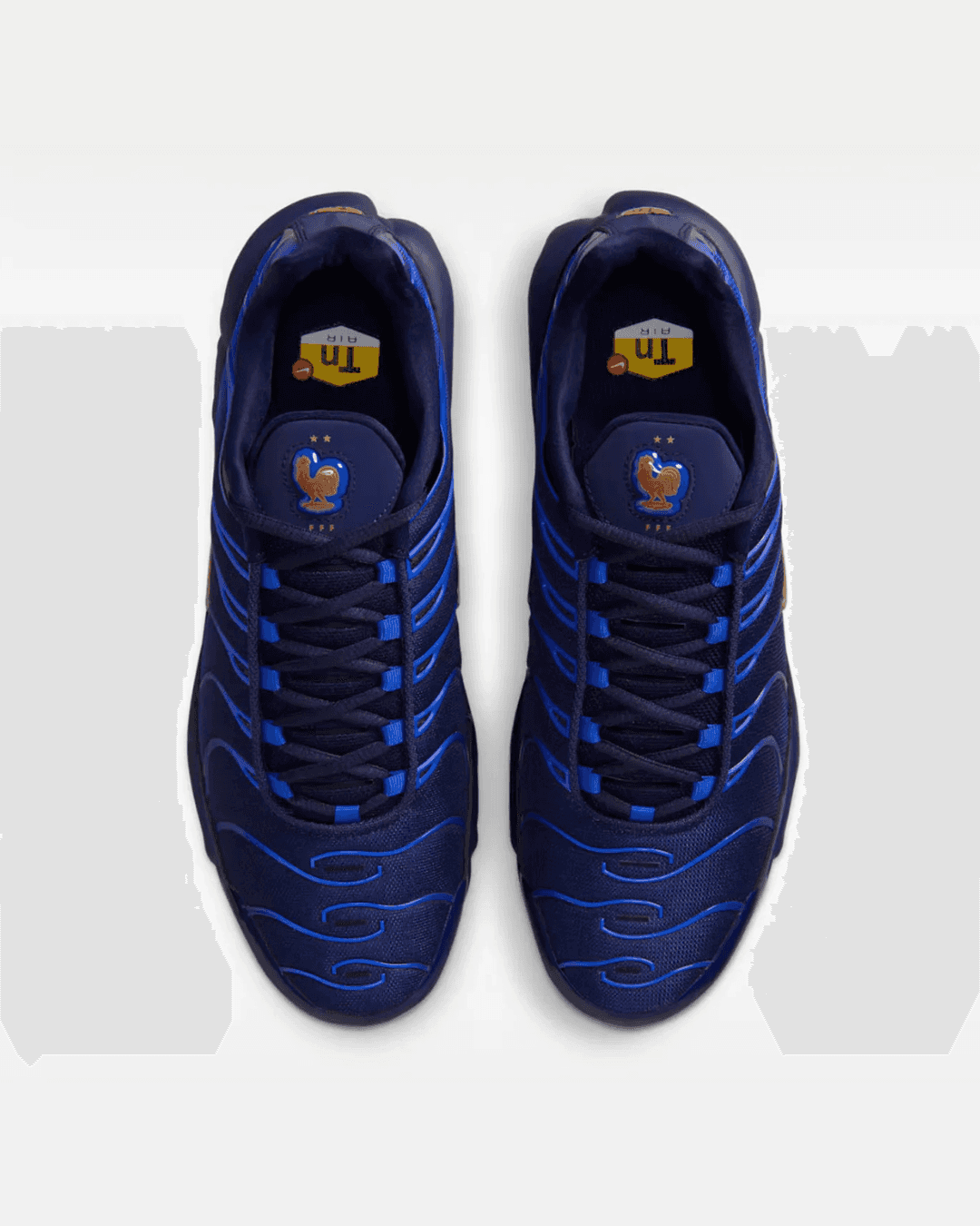 Nike Air Max Plus “French Football Federation”