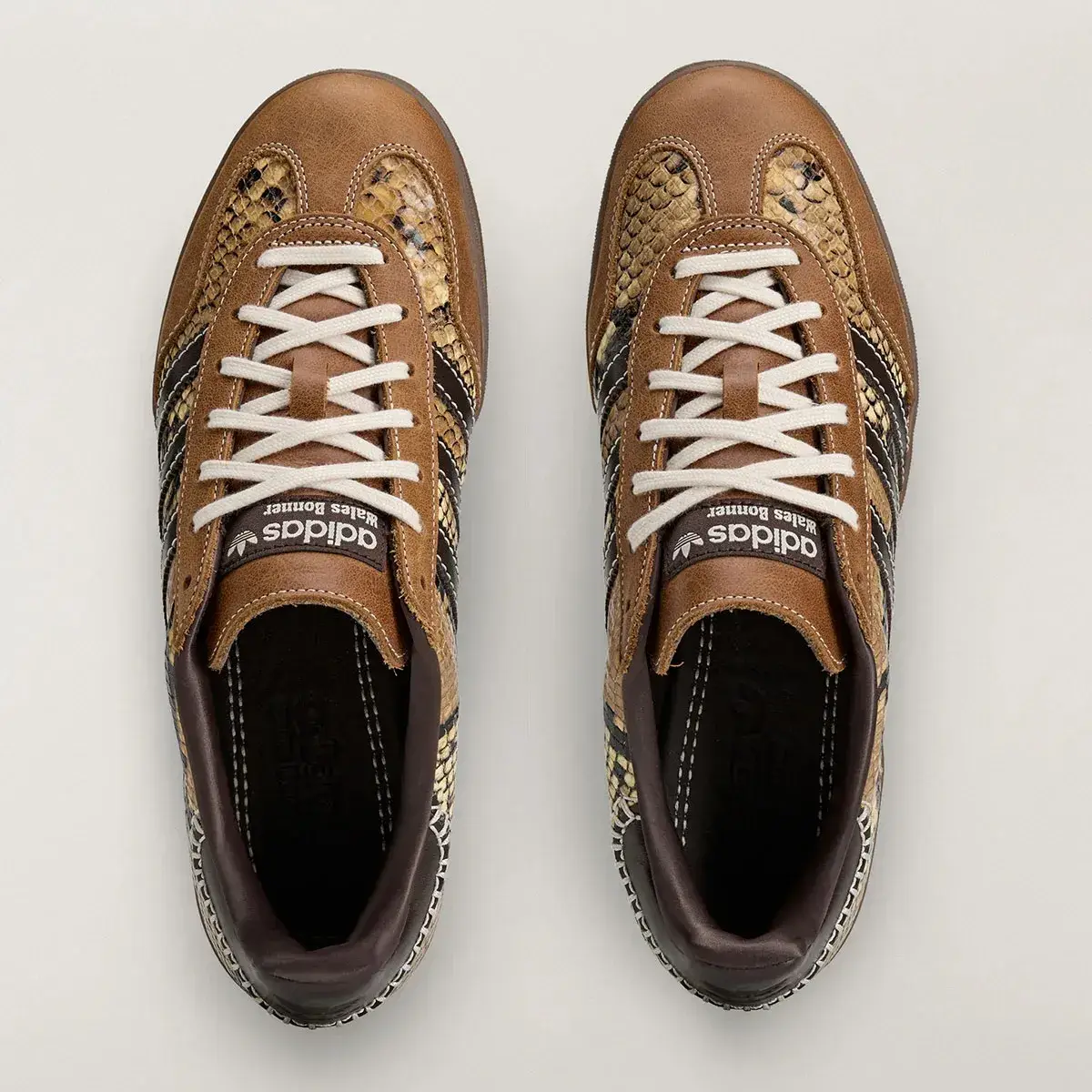 Wales Bonner x adidas snakeprint gazelle