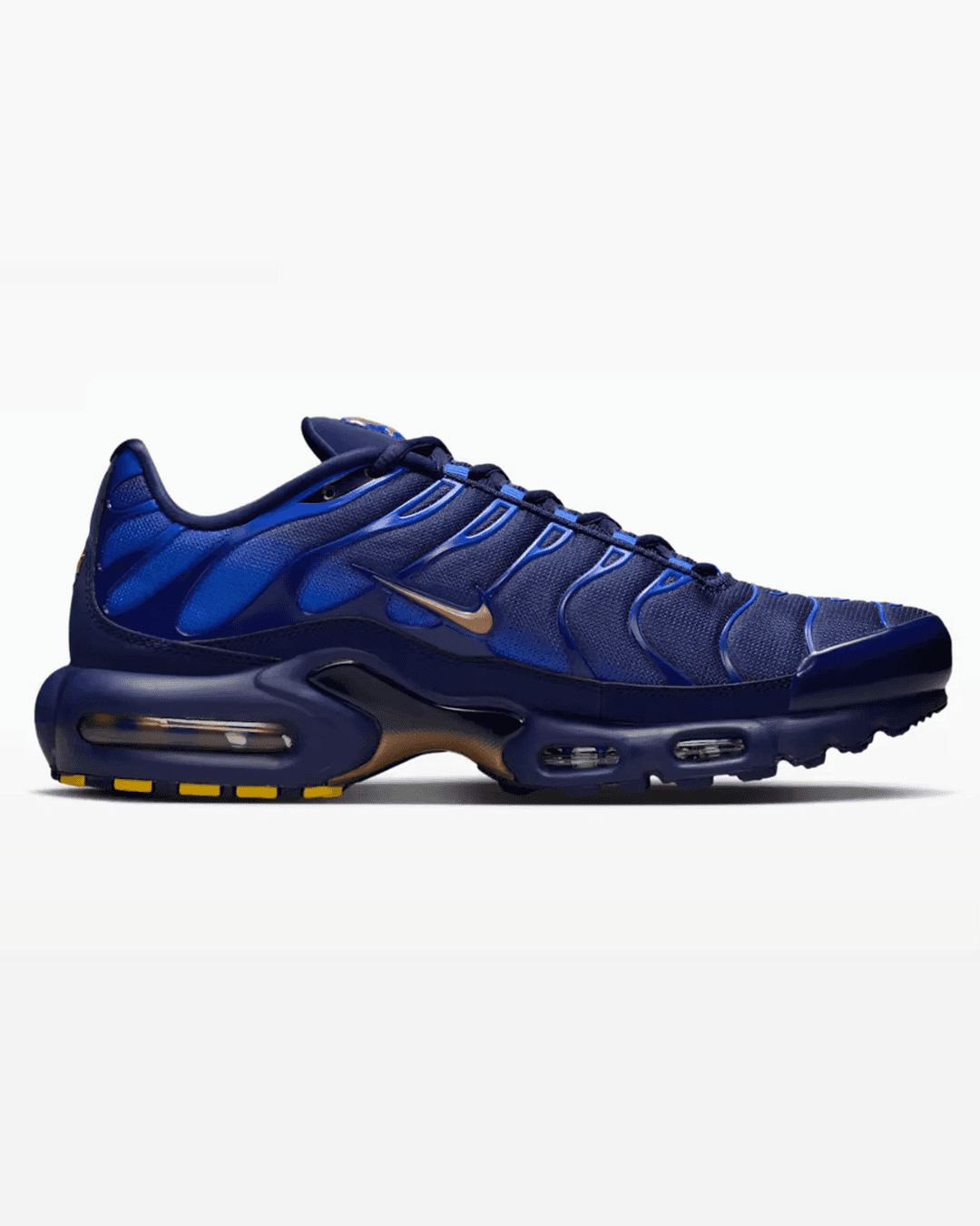 Nike Air Max Plus “French Football Federation"
