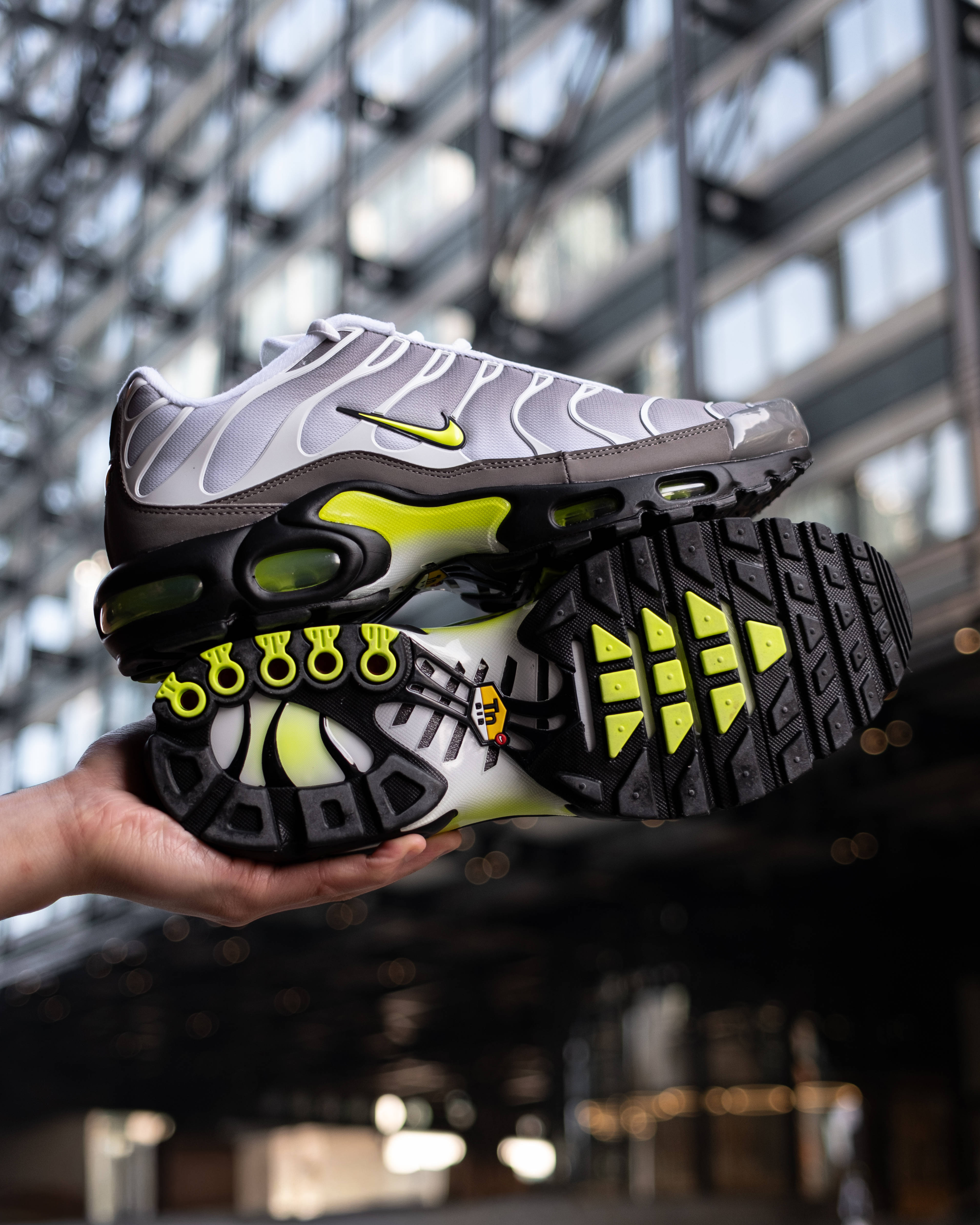 air max plus tn