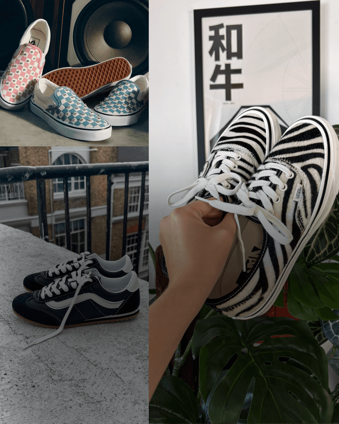 History of Vans