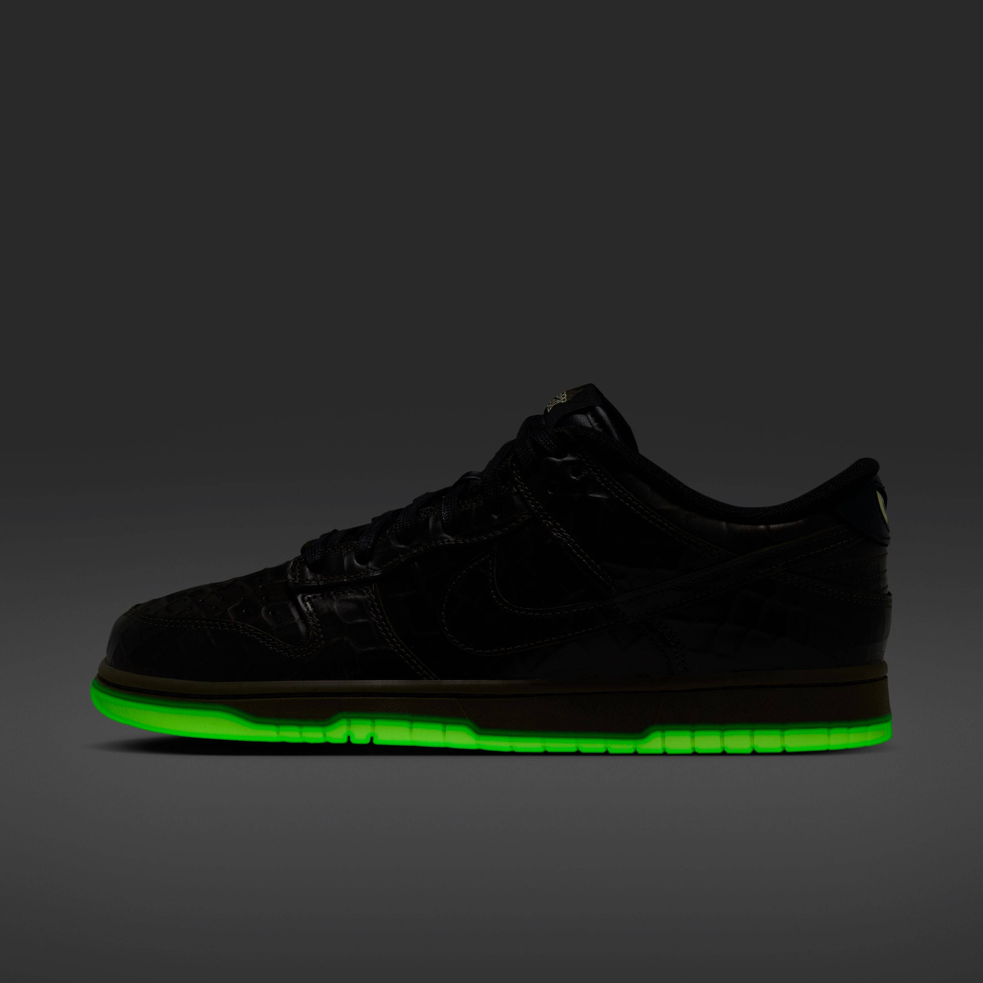 Nike Dunk Low Shibuya IX5169 300 in the dark