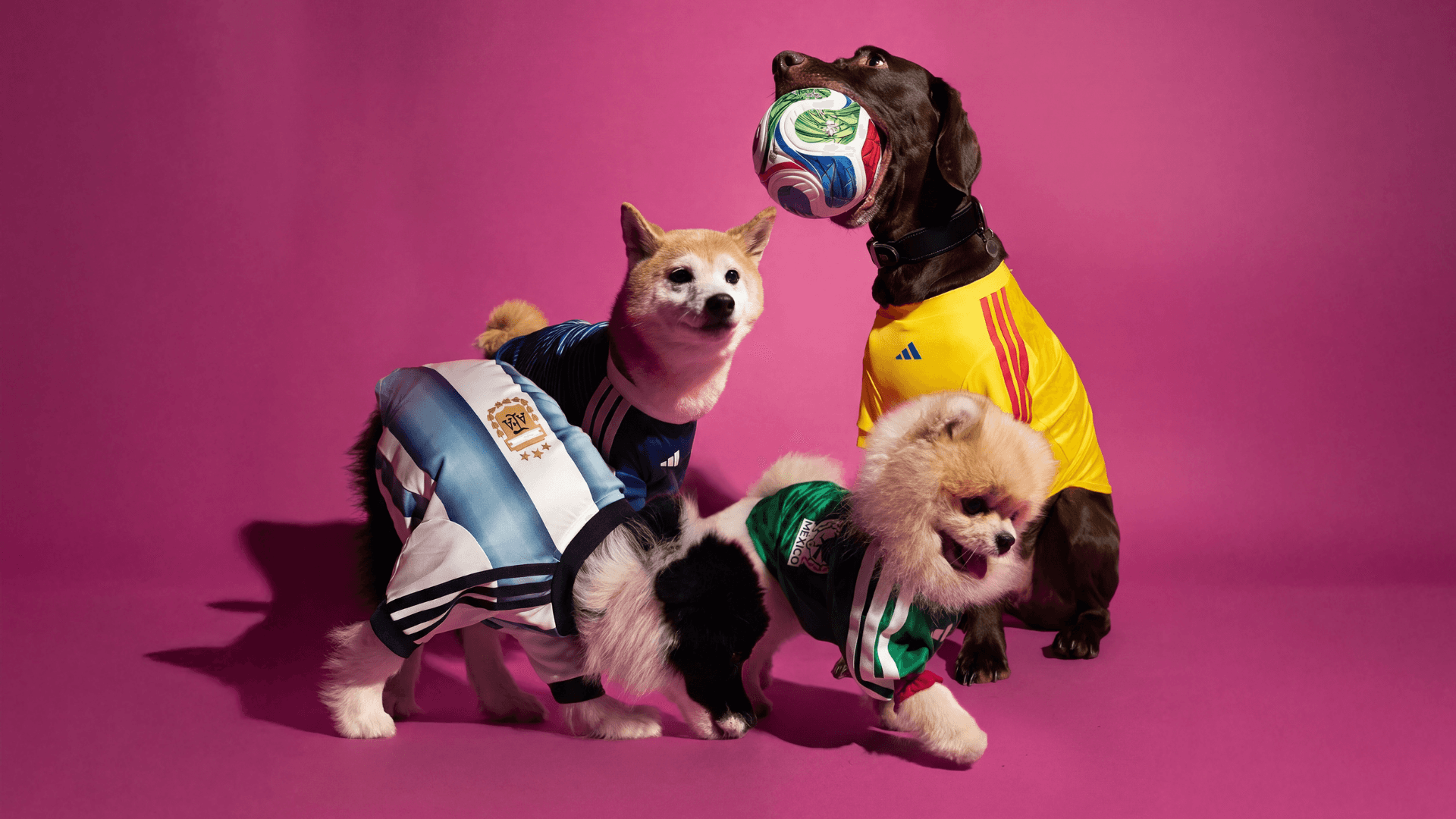 Yes, We Are Absolutely Buying Our Dogs Matching adidas World Cup Shirts