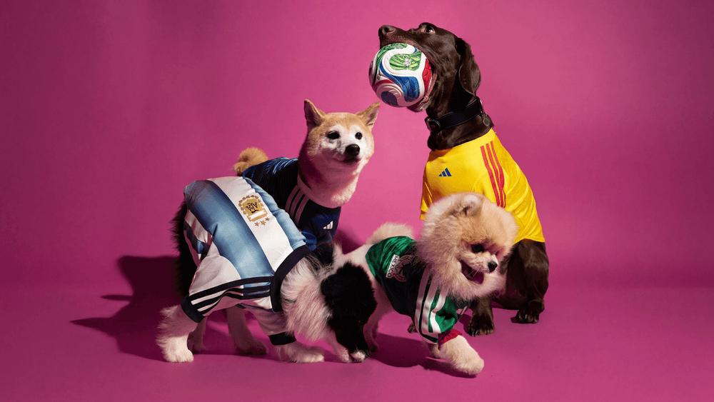 Yes, We Are Absolutely Buying Our Dogs Matching adidas World Cup Shirts