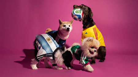 Yes, We Are Absolutely Buying Our Dogs Matching adidas World Cup Shirts Yes, We Are Absolutely Buying Our Dogs Matching adidas World Cup Shirts
