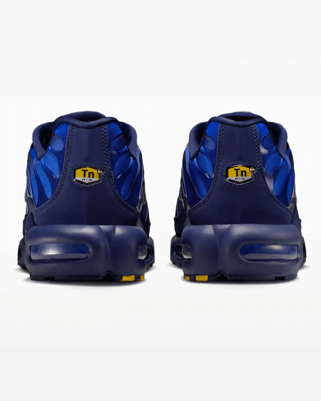 Nike Air Max Plus “French Football Federation”