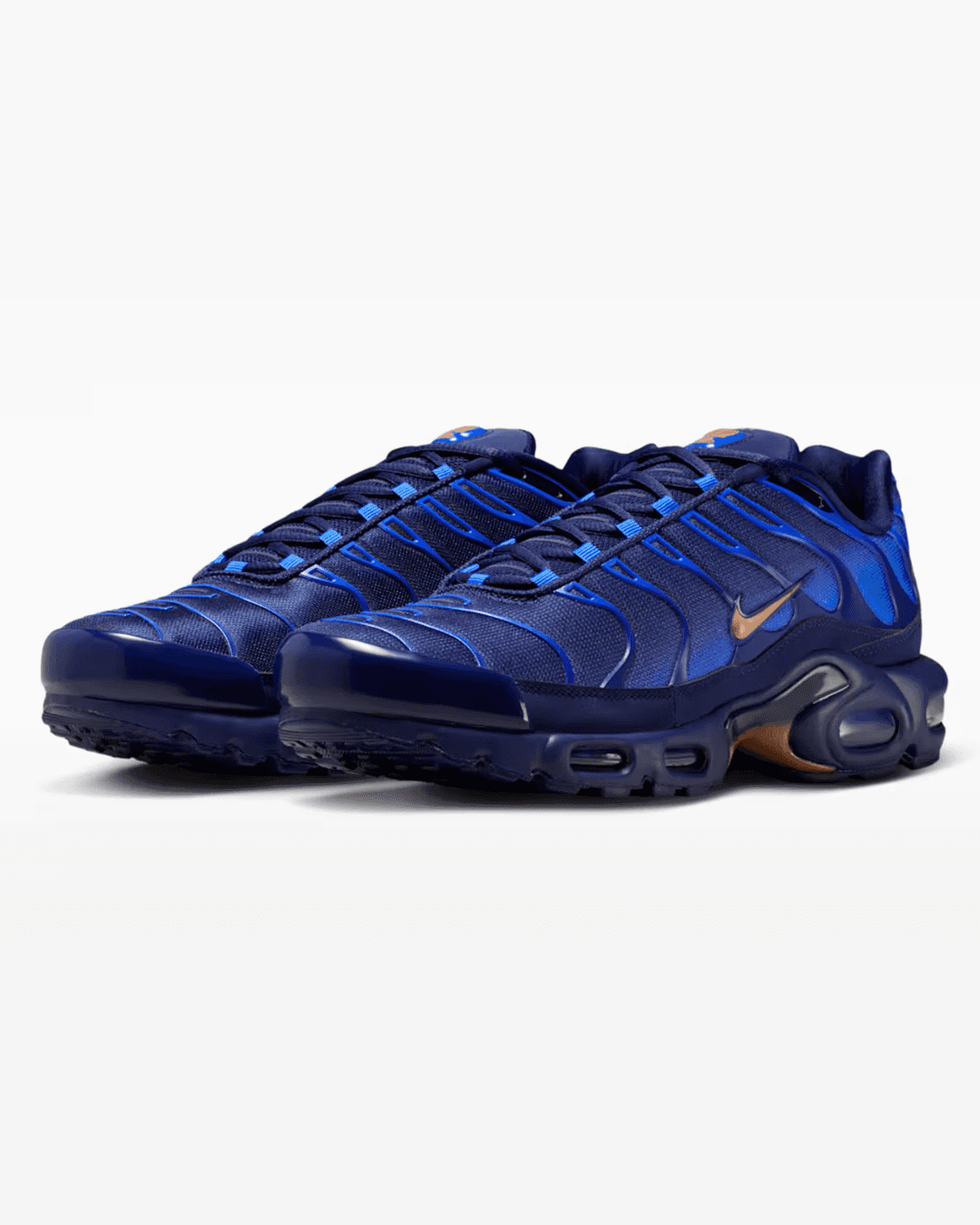 Nike Air Max Plus “French Football Federation”