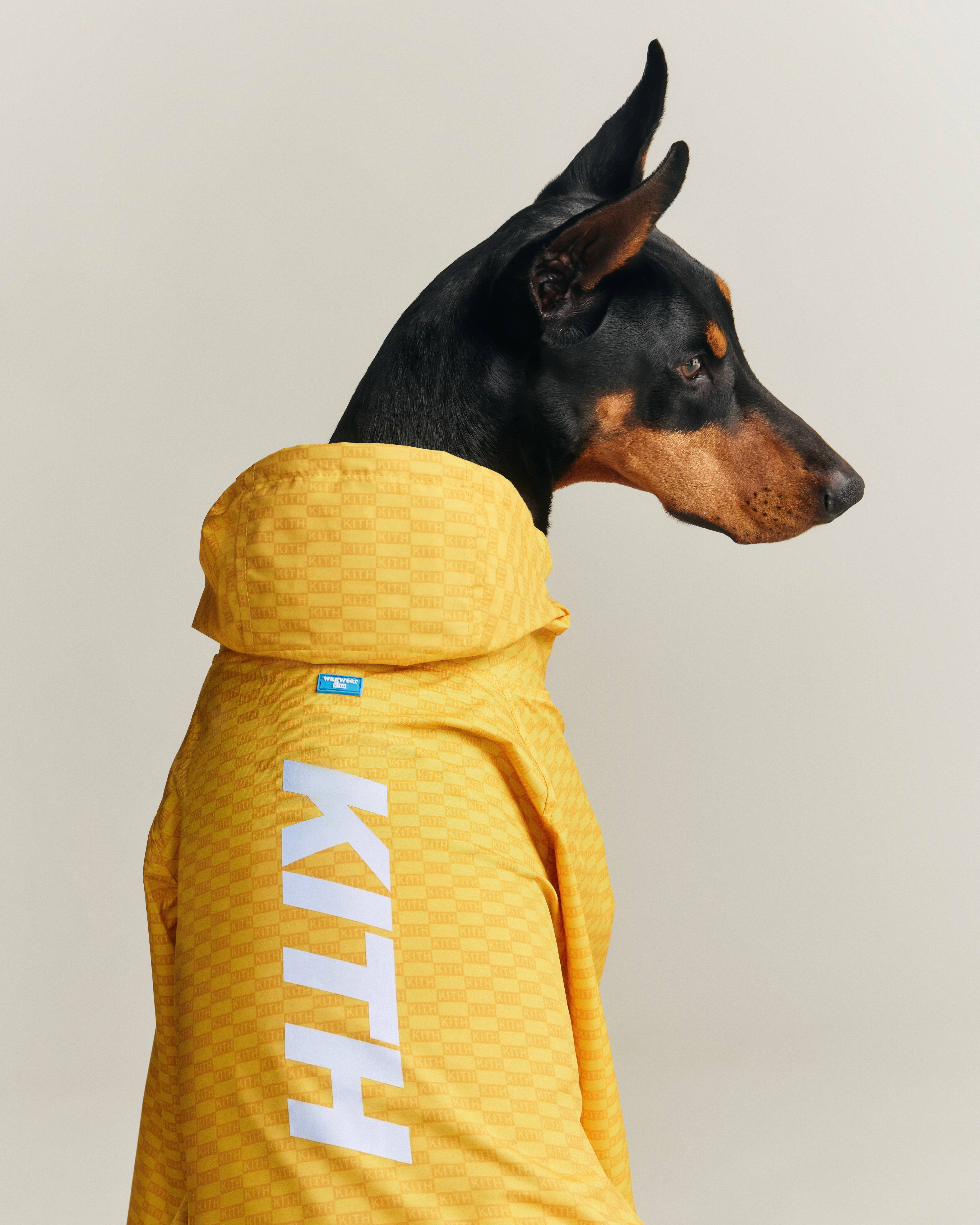 Kith©