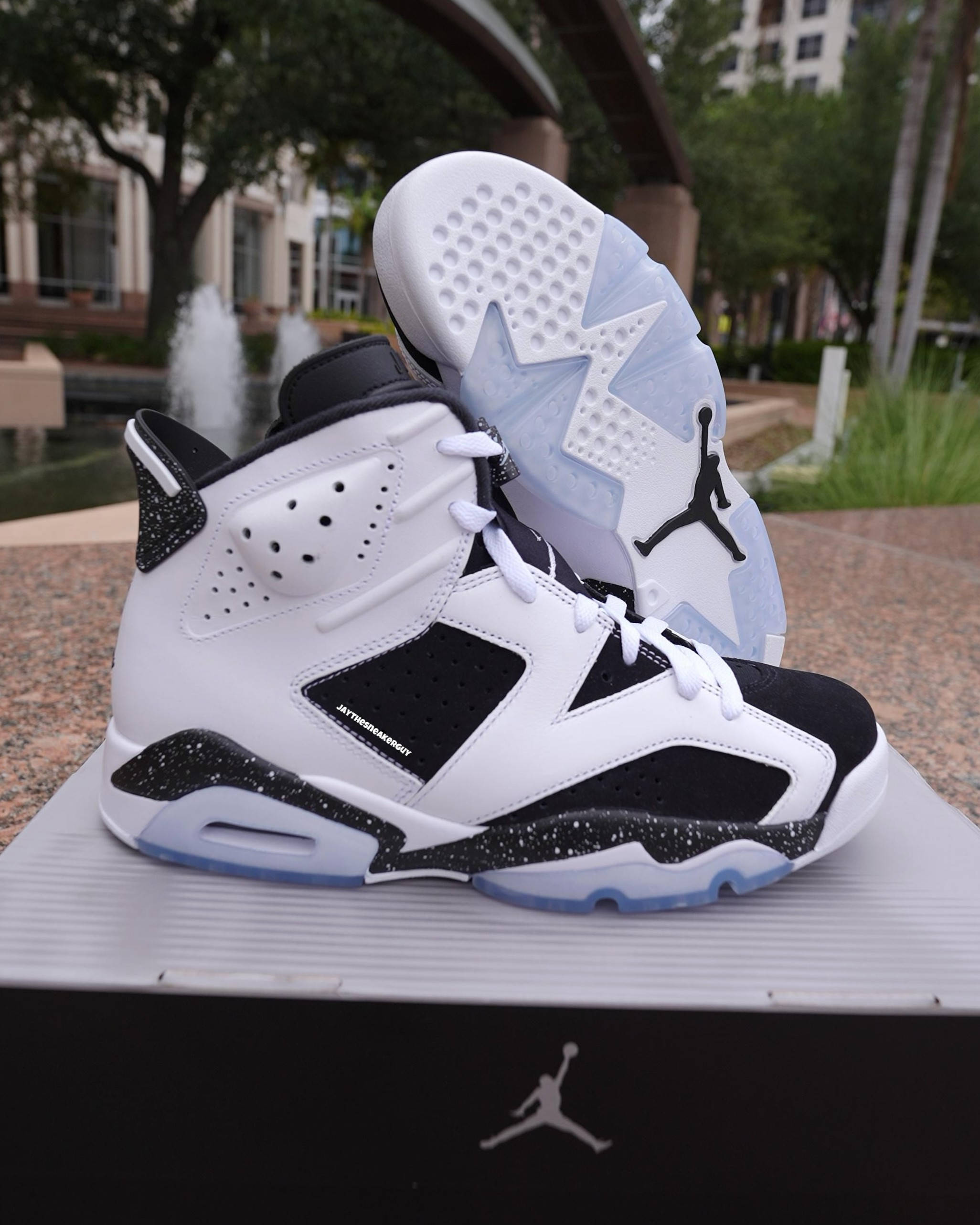 jordan 6 oreo