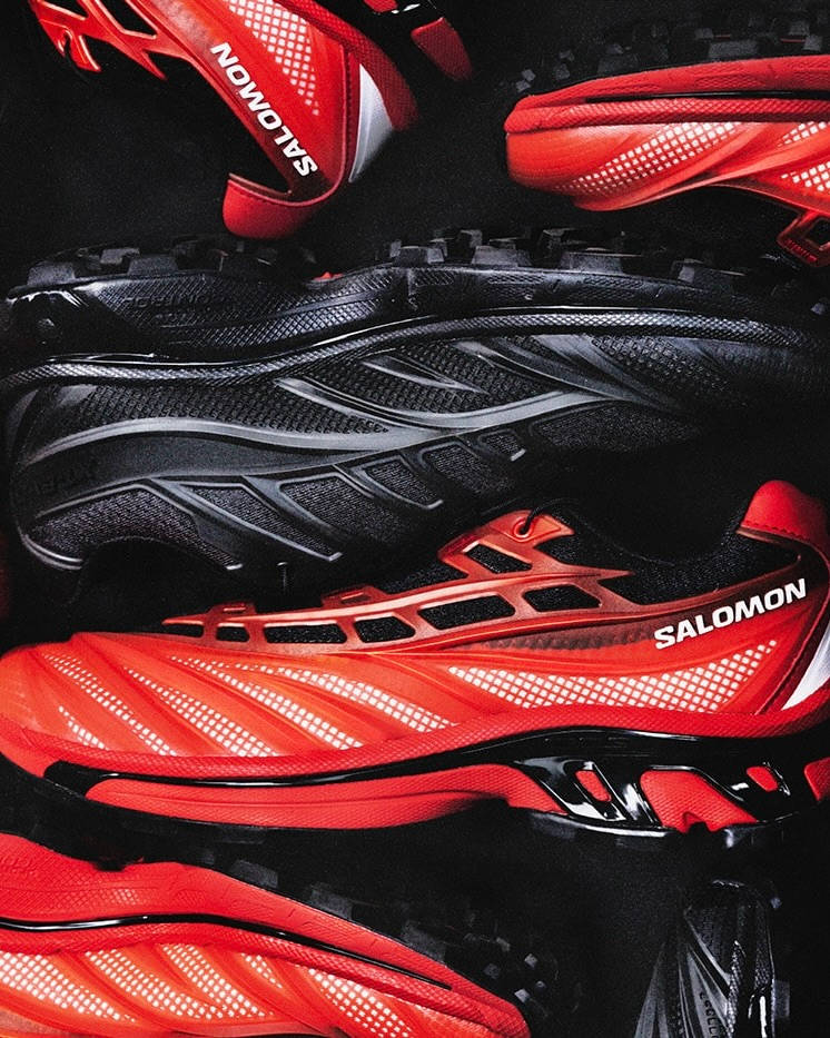 Salomon