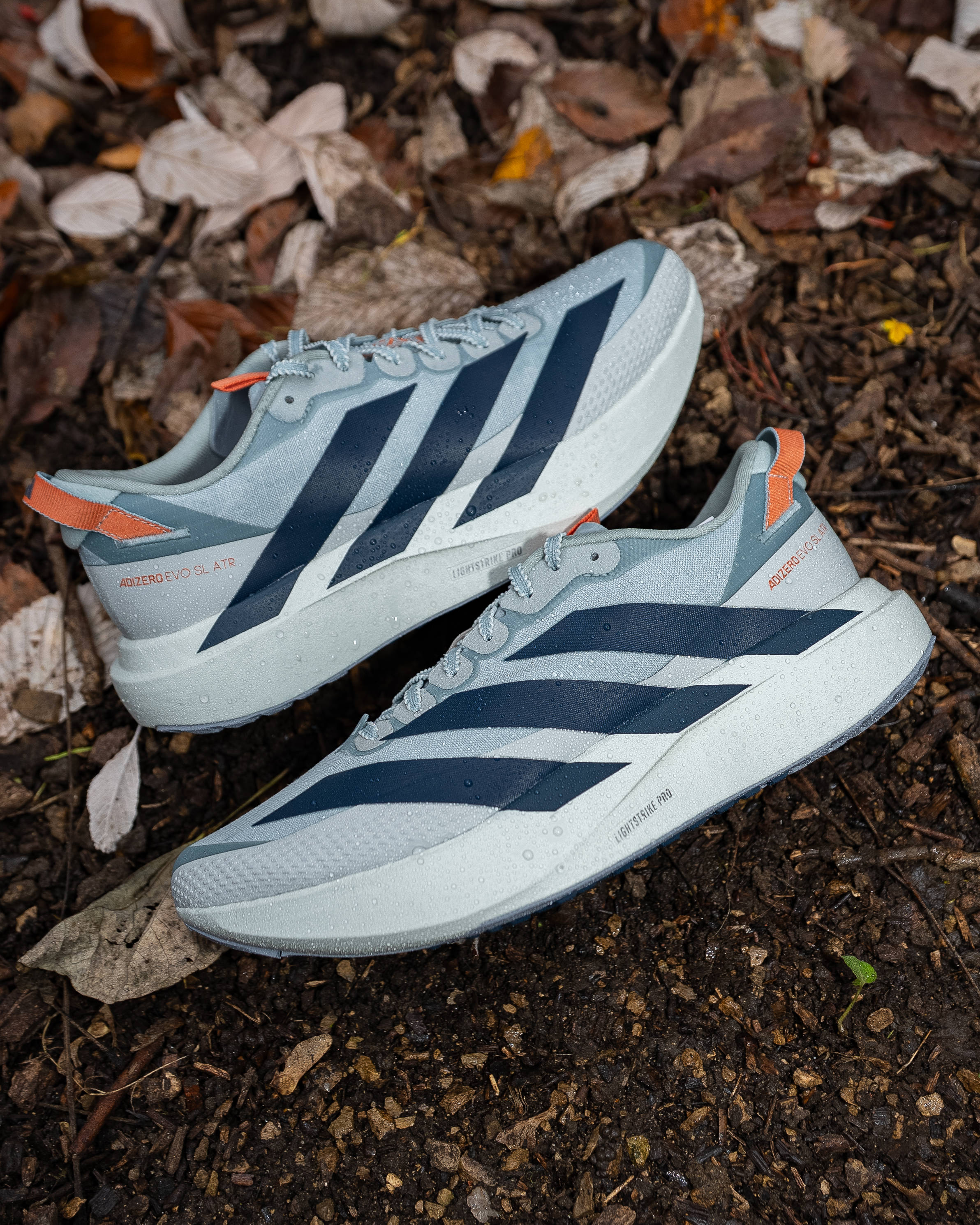 adidas evo sl atr flat lay shot on floor of the woods