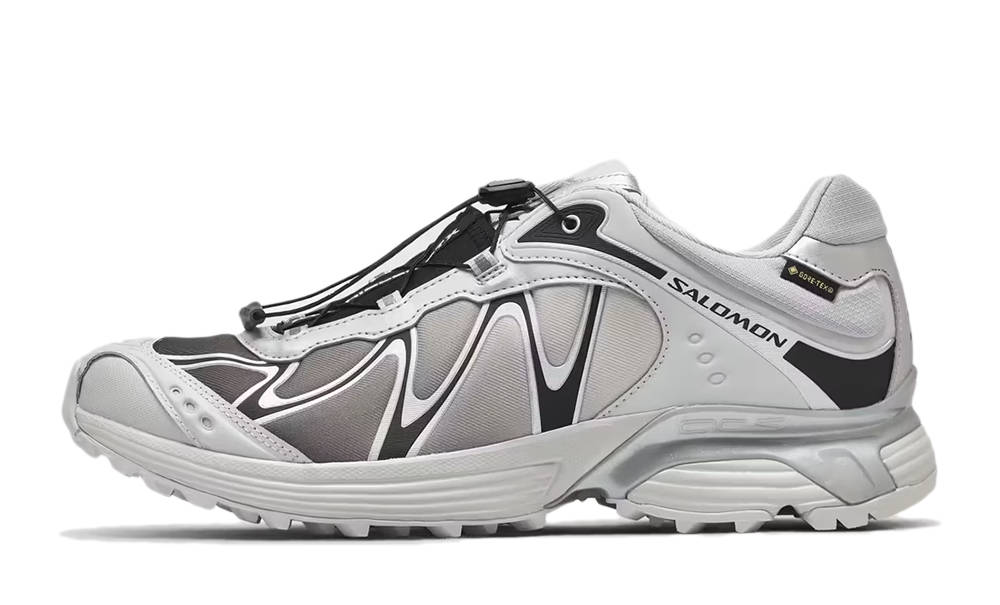 Salomon XT-Whisper GORE-TEX Grey Violet Black L49192300