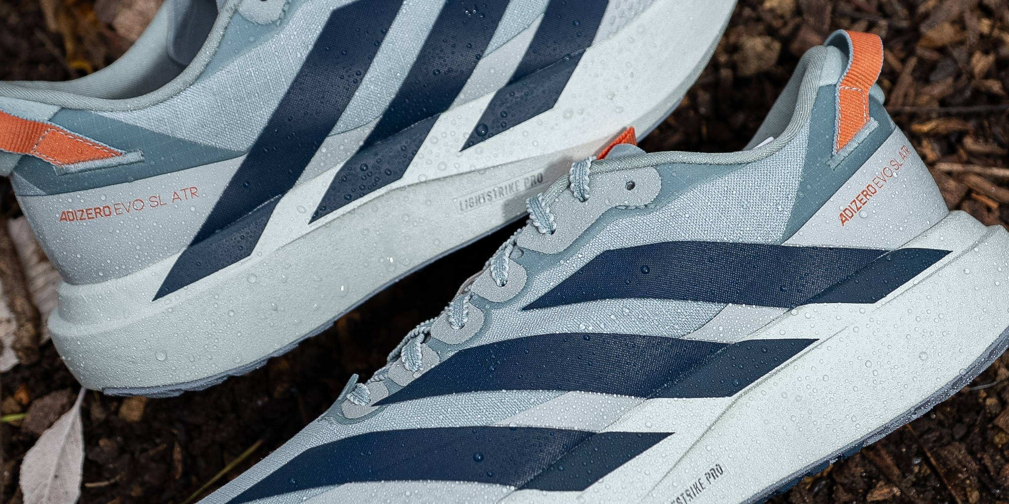 evo sl atr wonder sage 2-1