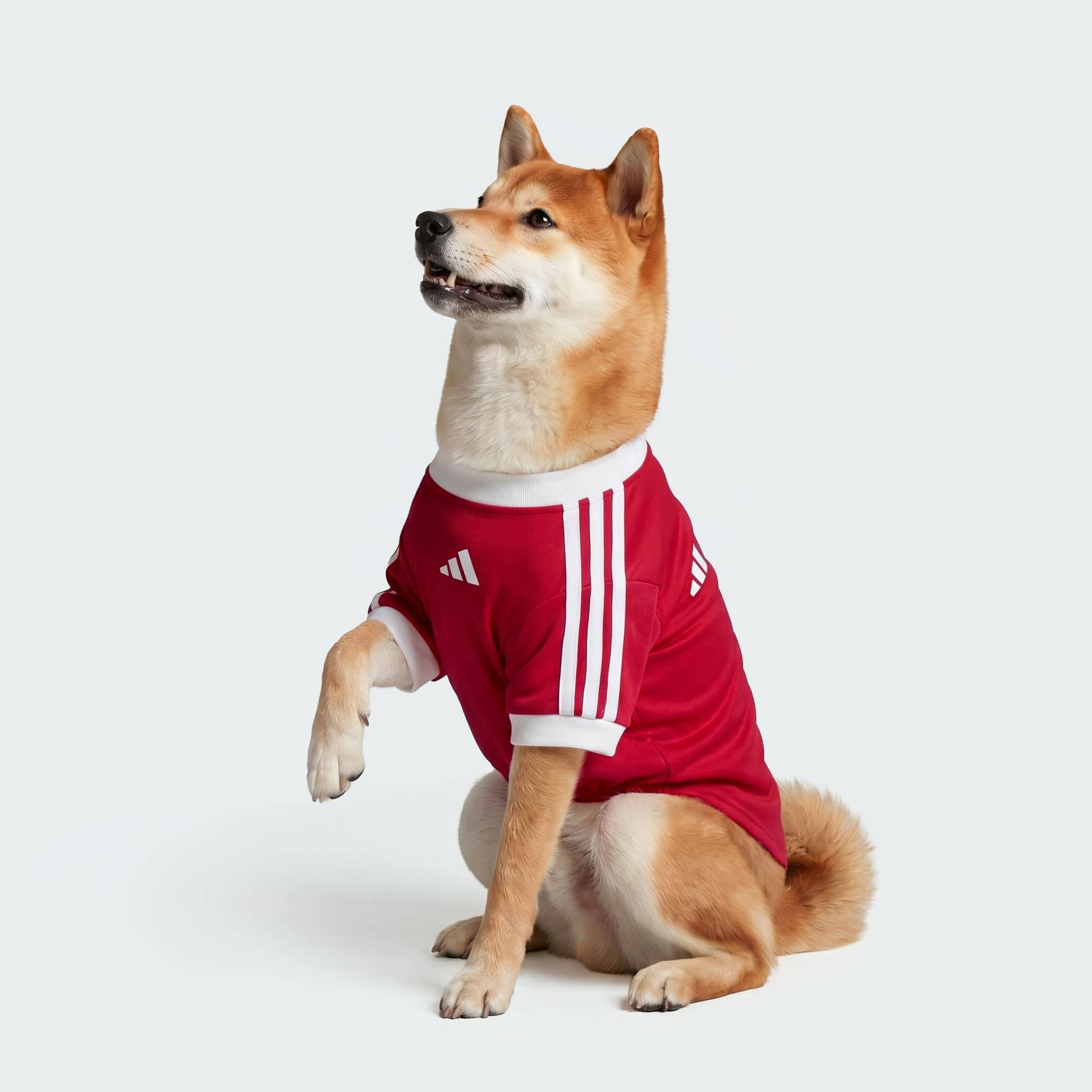 Manchester United dog kit