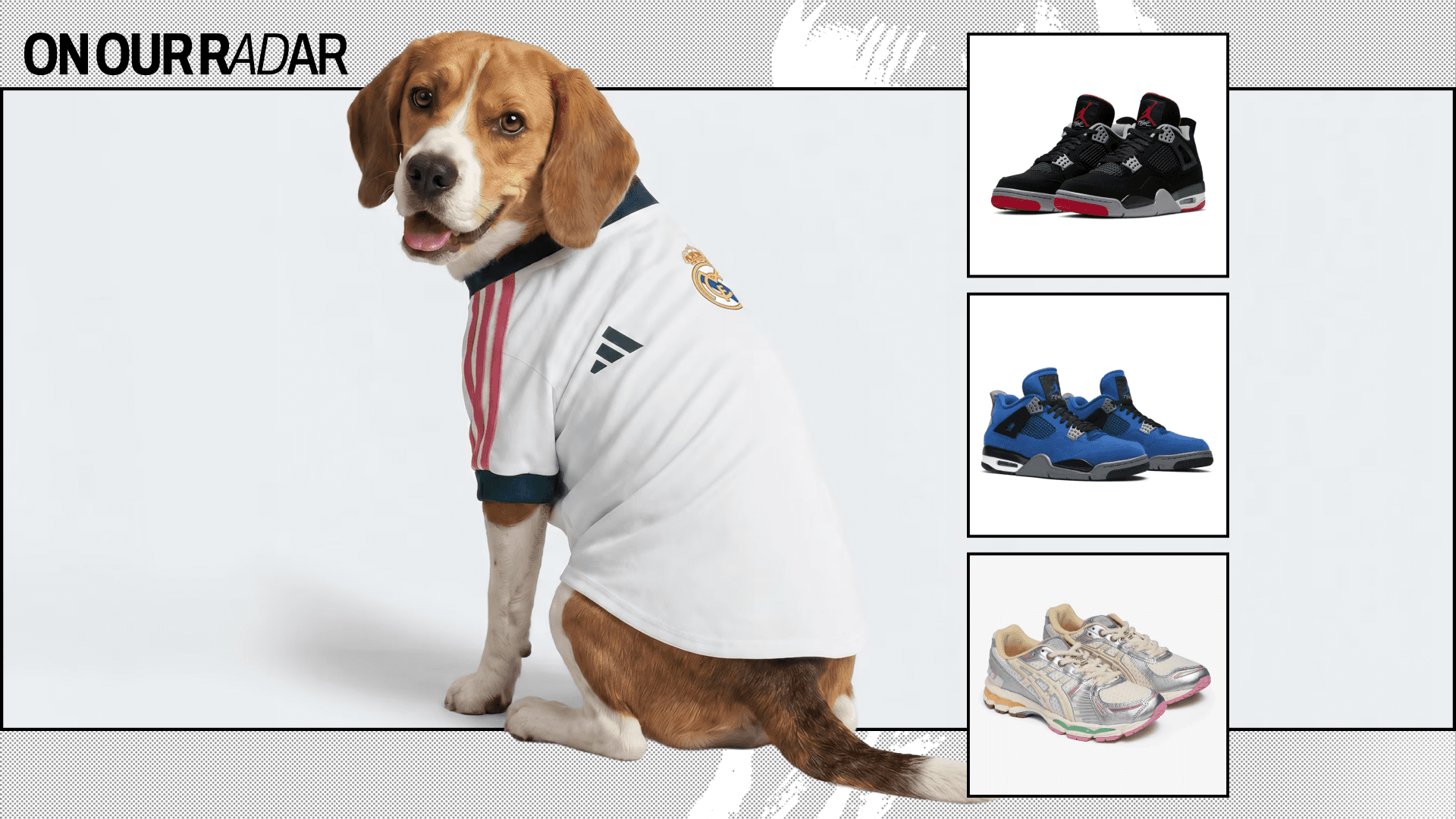On Our Radar picks