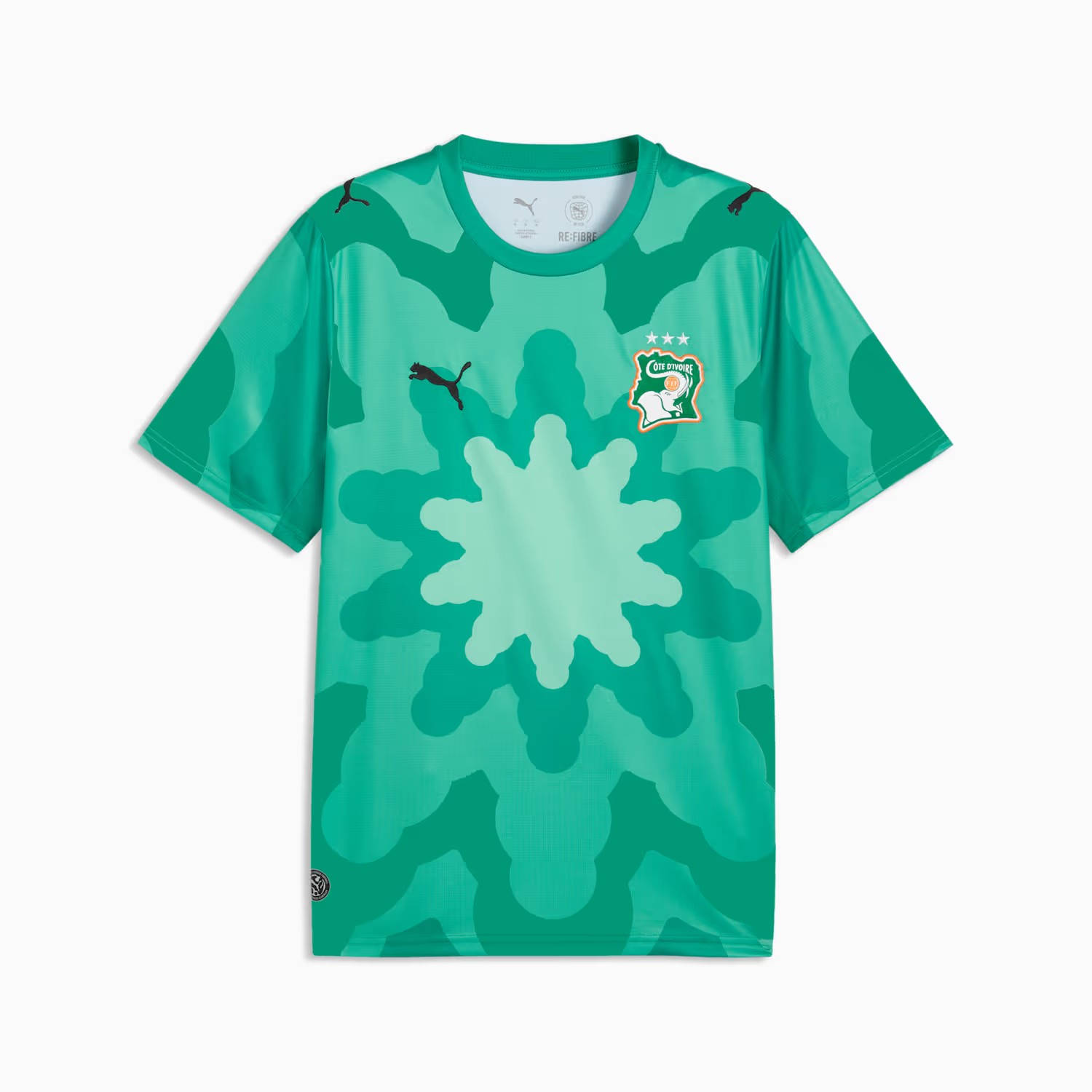 PUMA x COTE D'IVOIRE x SALEHE BEMBURY Goalkeeper Jersey