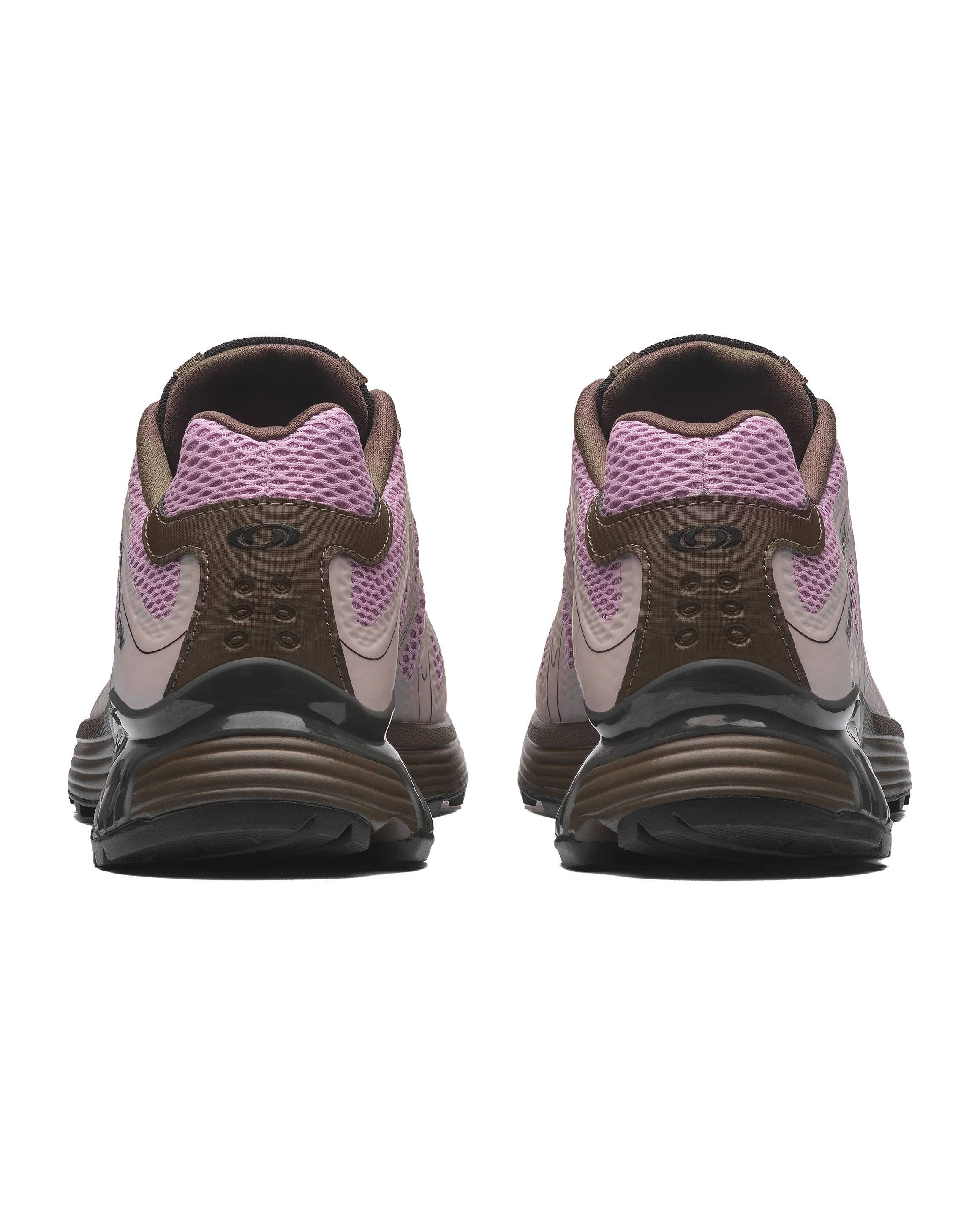 Salomon XT Whisper Grape Leaf Dawn Pink L49236800 back