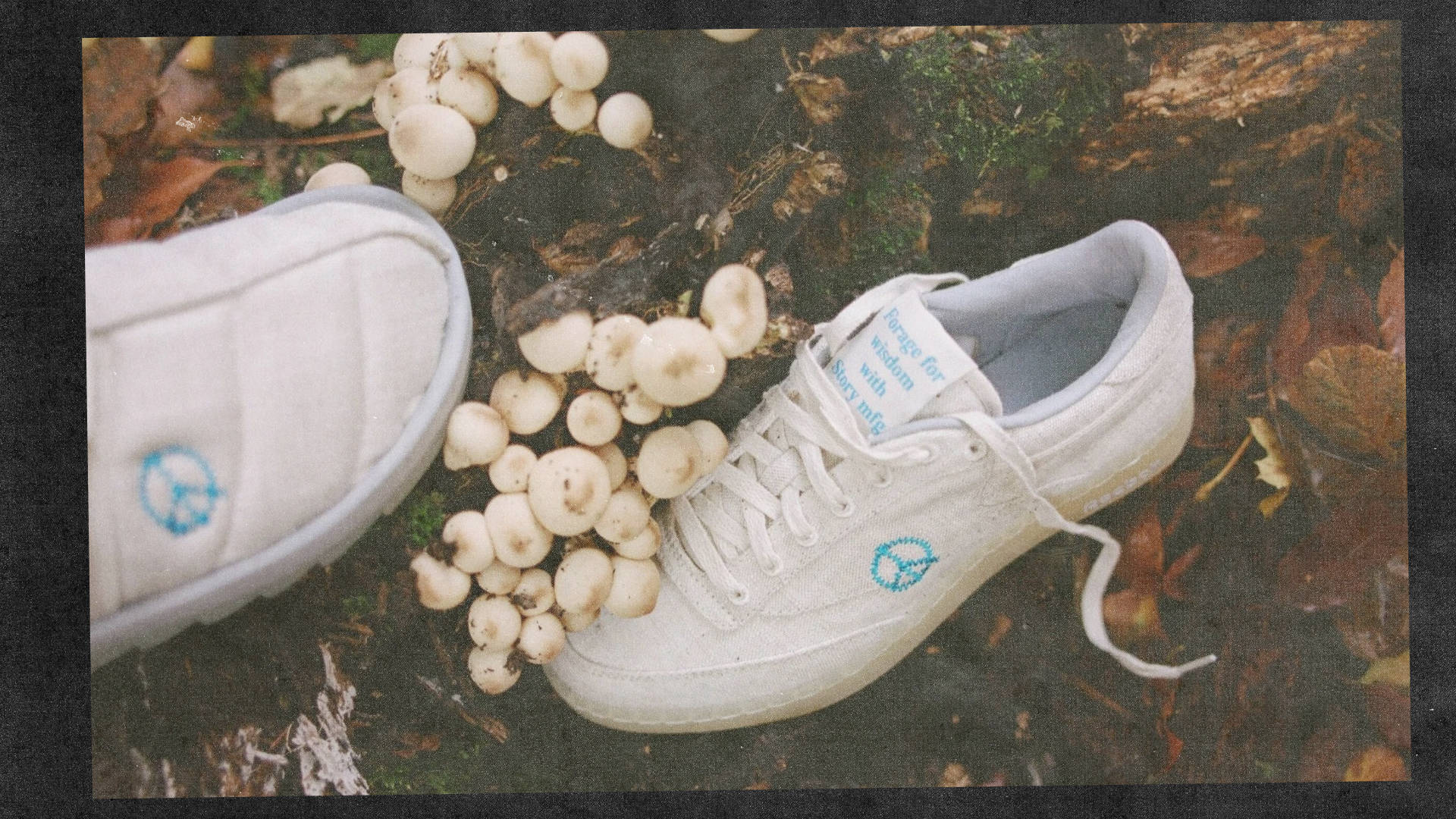 story mfg reebok
