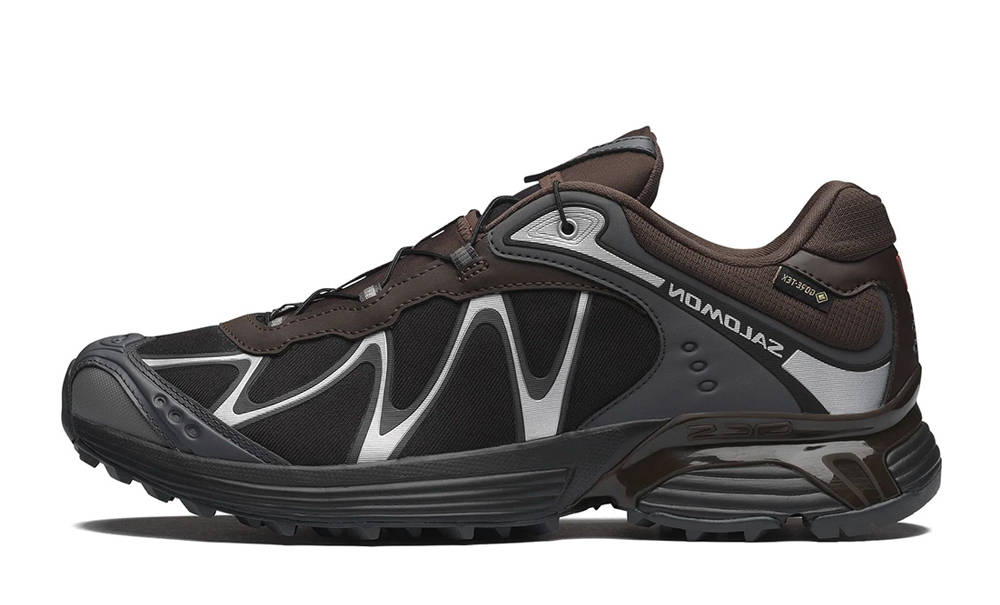 Salomon XT-Whisper GTX Delicioso Asphalt L45397800
